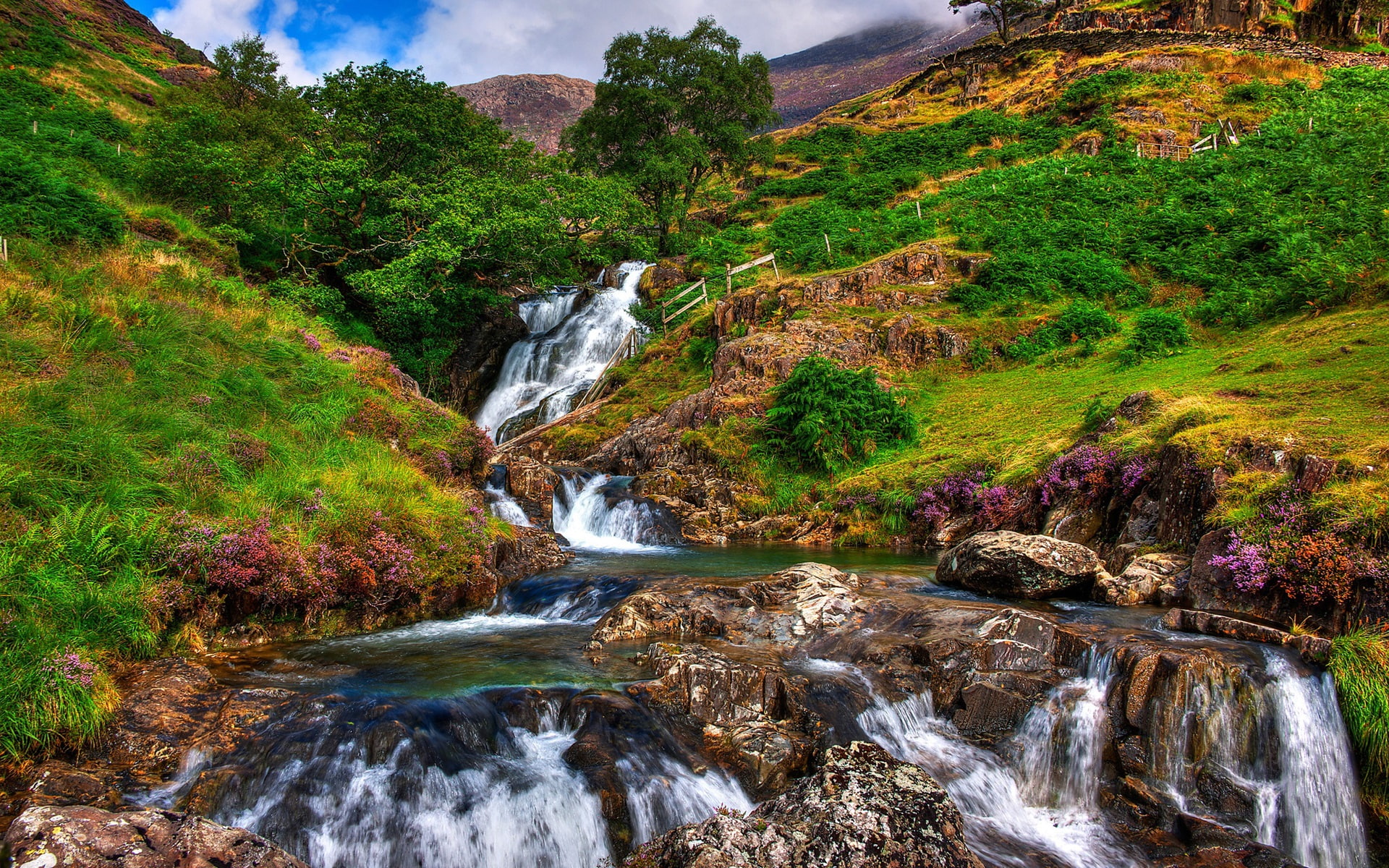 Mountains, River, Flowers, Grass, Snowdonia, 1080P, Rocks, Trees, Stream, HD Wallpaper