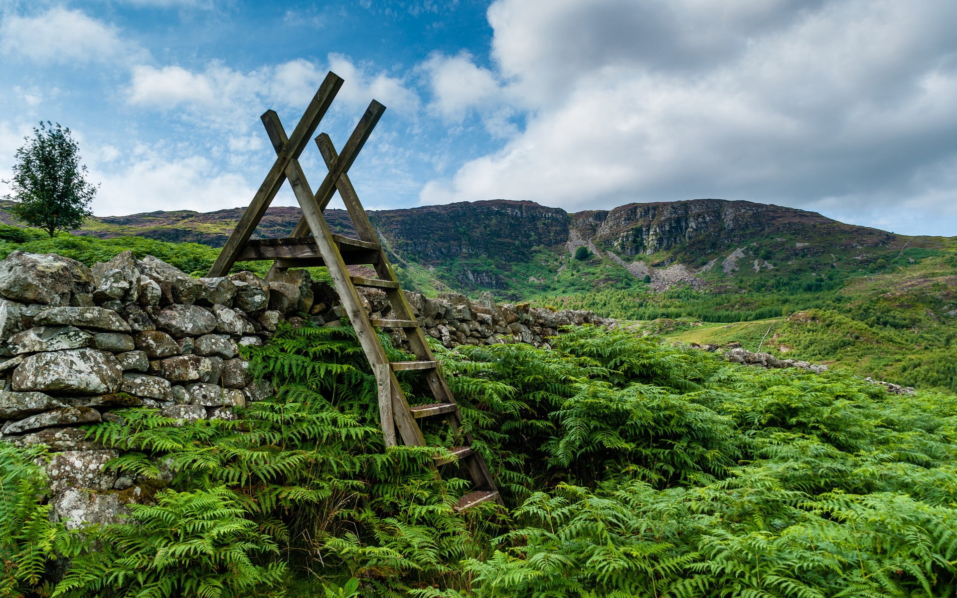 scenics - nature, forest, cloudscape, land, wooden, old, green Color, blue, stone Material, travel, hill, rock - Object, outdoors, snowdonia, sky, grass, HD Wallpaper
