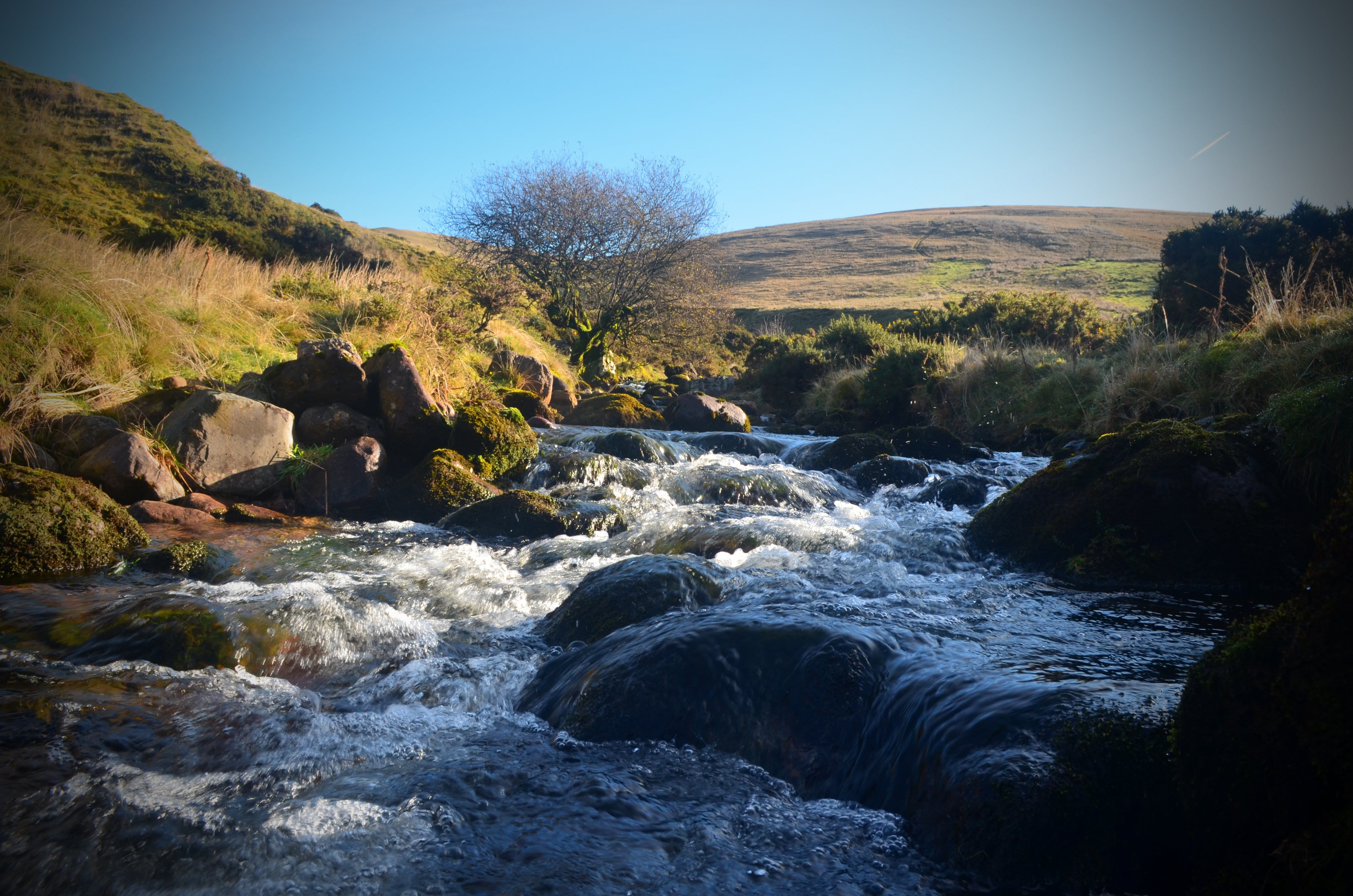 land, stream - flowing water, day, solid, tree, flowing water, clear sky, nature, mountain stream, environment, scenics - nature, outdoors, united kingdom, HD Wallpaper
