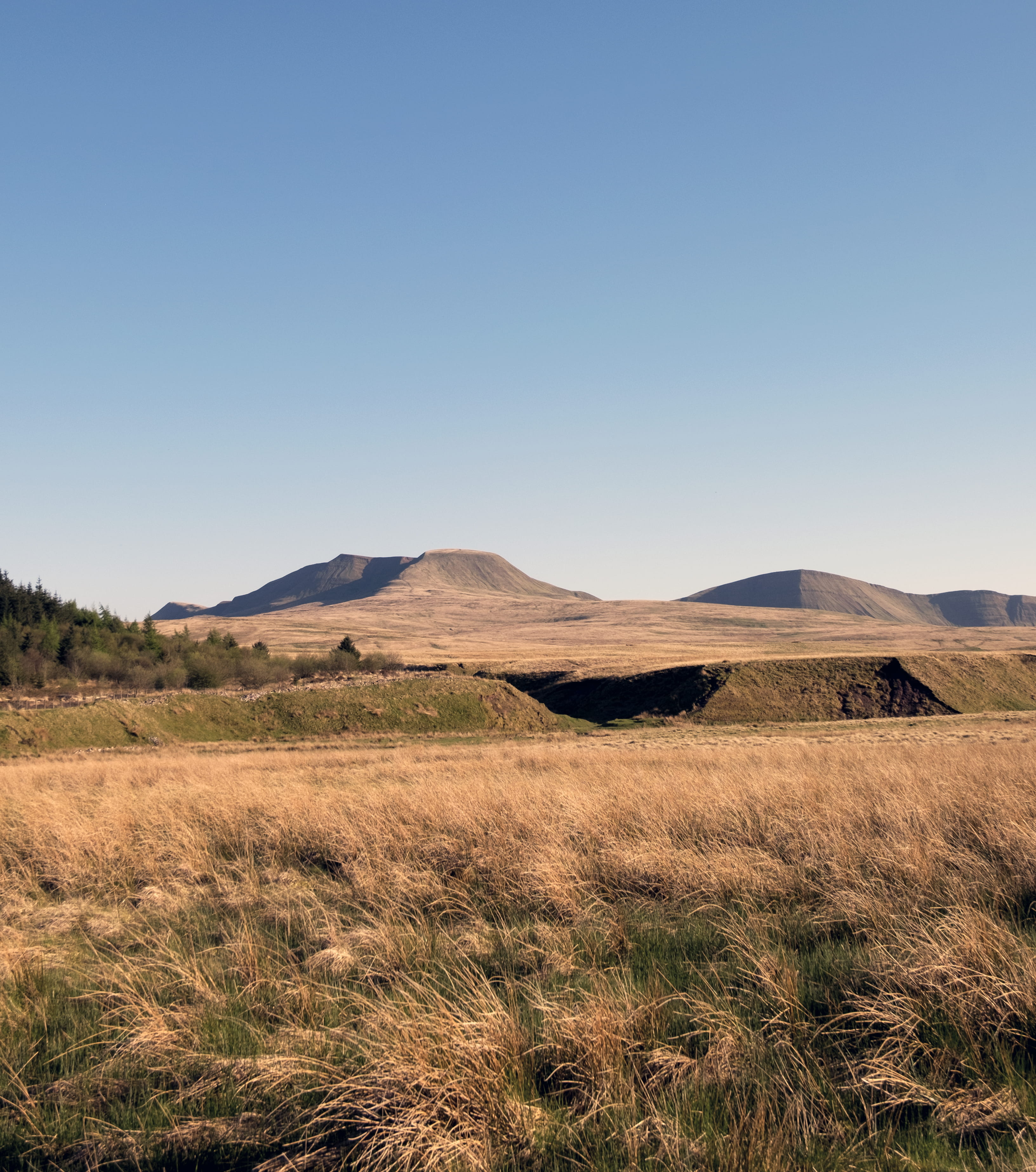 mountain range, britain, wilderness, summer, uk, no people, brecon beacons national park, environment, tranquility, grass, 2K, beauty in nature, plant, Phone HD Wallpaper