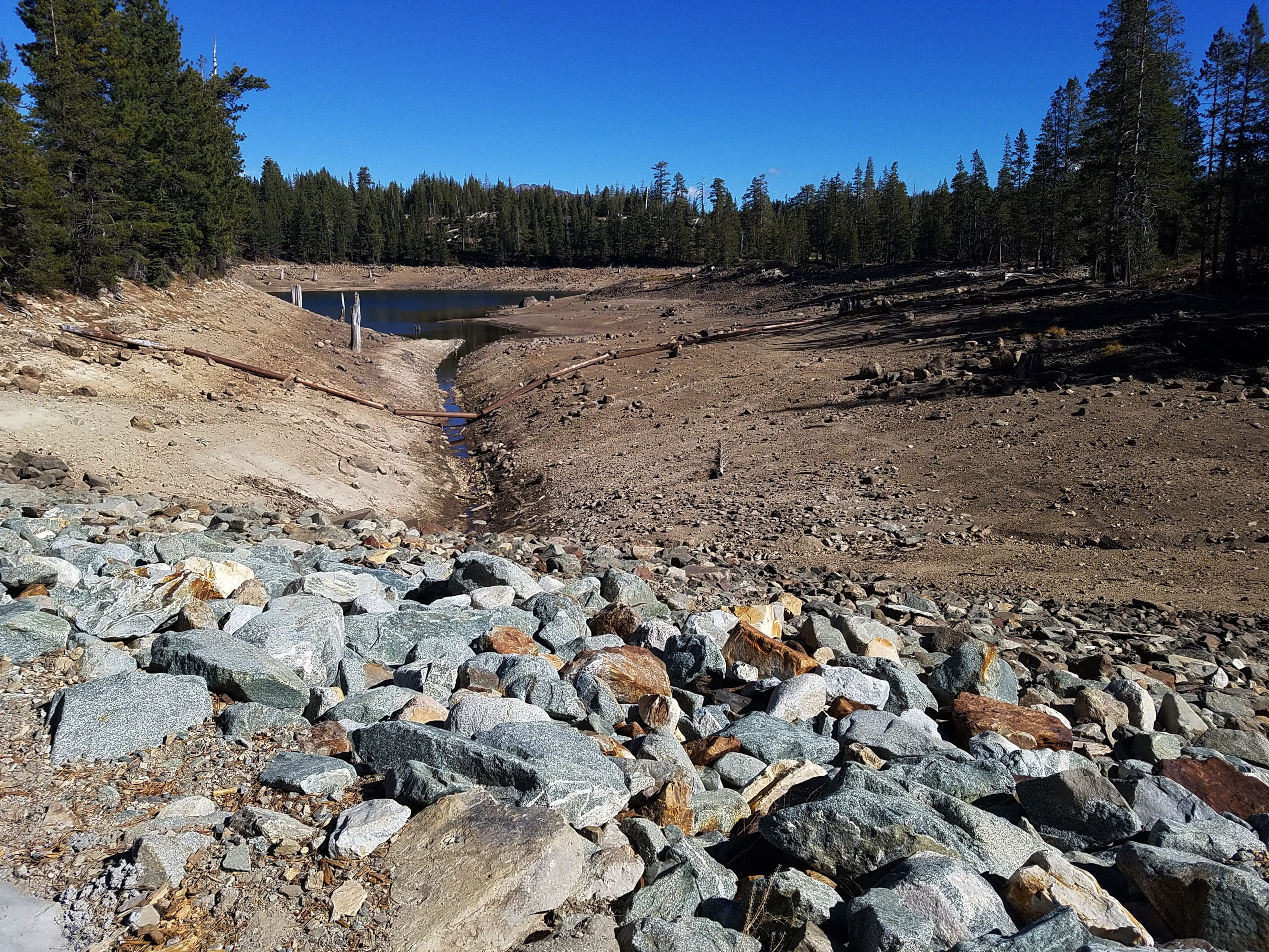 pg e hydroelectric power, tranquility, plant, day, low water, flowing water, dry lake, beauty in nature, california, tahoe national forest, nature, forest, HD Wallpaper