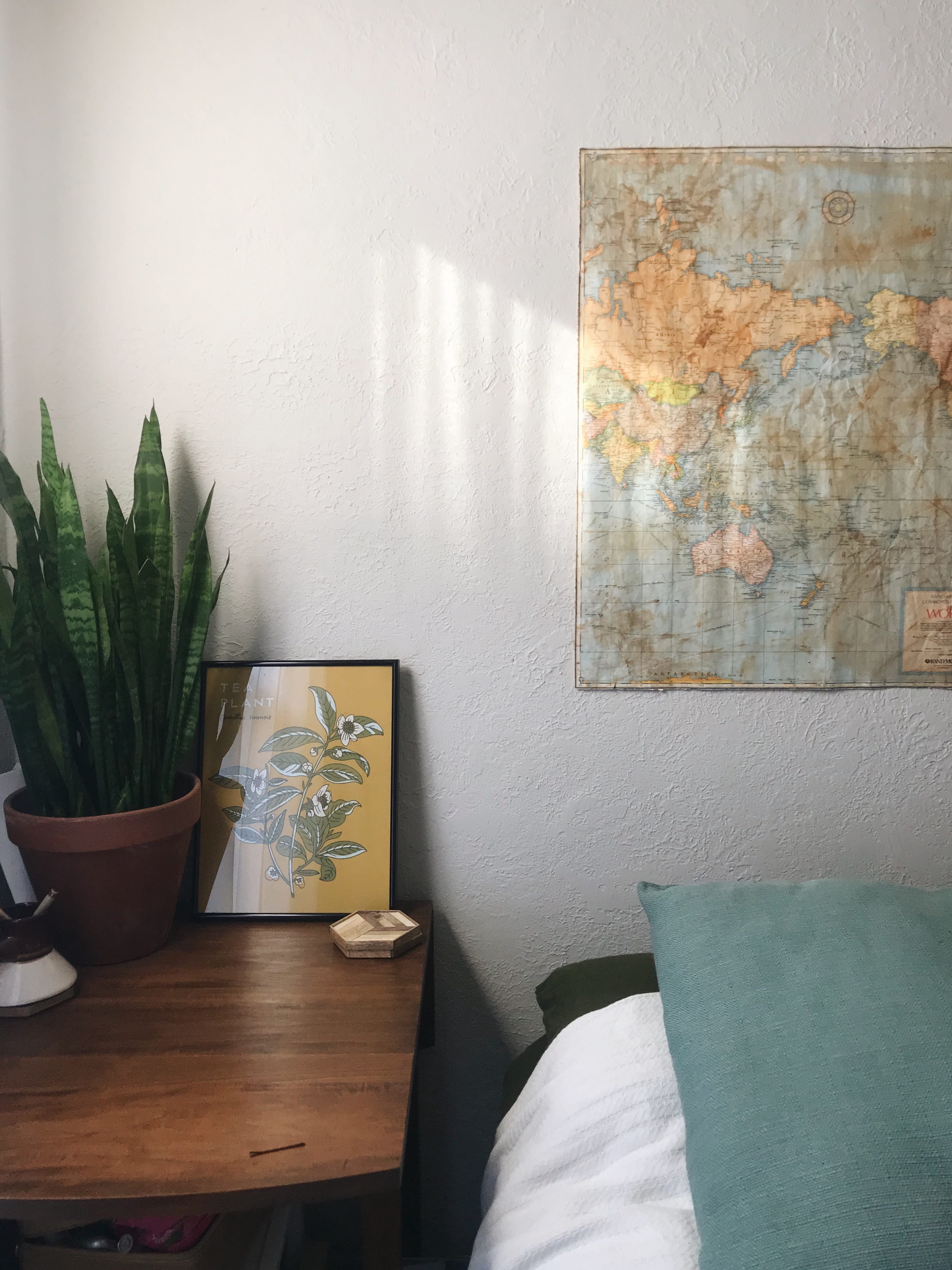 houseplant, natural light, empty, 4K, candle, bed, potted plant, absence, bedroom, cushion, wood, relaxation, ,houseplant, house, plant, wall, indoor plant, Phone HD Wallpaper