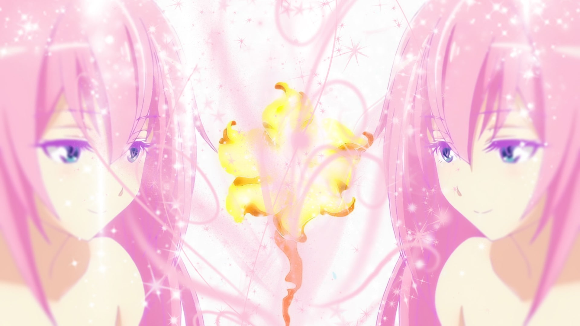 1080P, vulnerability, no people, pastel colored, Gakusen Toshi Asterisk, flower head, animal representation, drop, close-up, pink color, flower, representation, HD Wallpaper