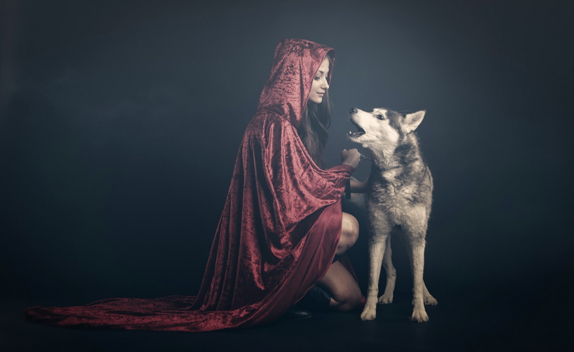 women, no people, 1080P, chains, indoors, dog, feline, domestic, mammal, domestic animals, animals, hoods, pets, cat, black background, one animal, robes, HD Wallpaper