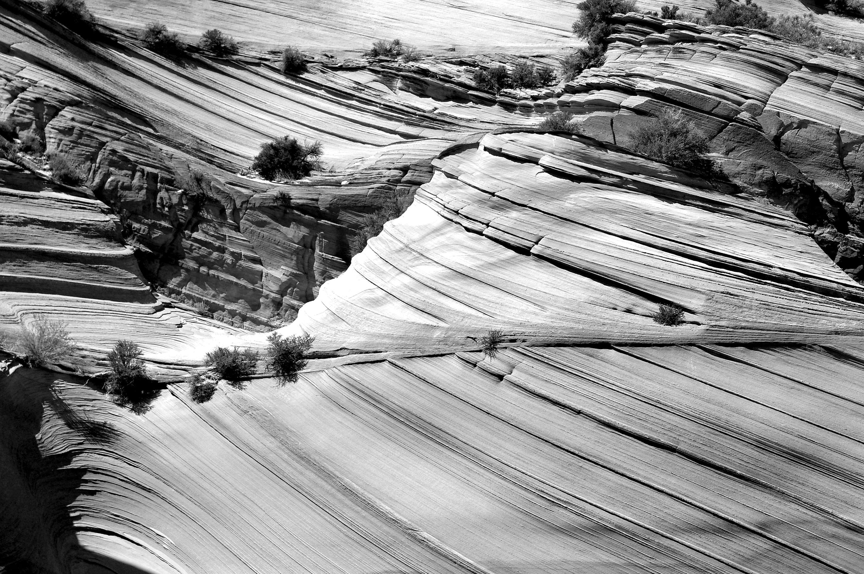 rock, nature, sandstone, geology, non-urban scene, landscape, plant, black and white, full frame, high angle view, wood, architecture, wood - material, HD Wallpaper