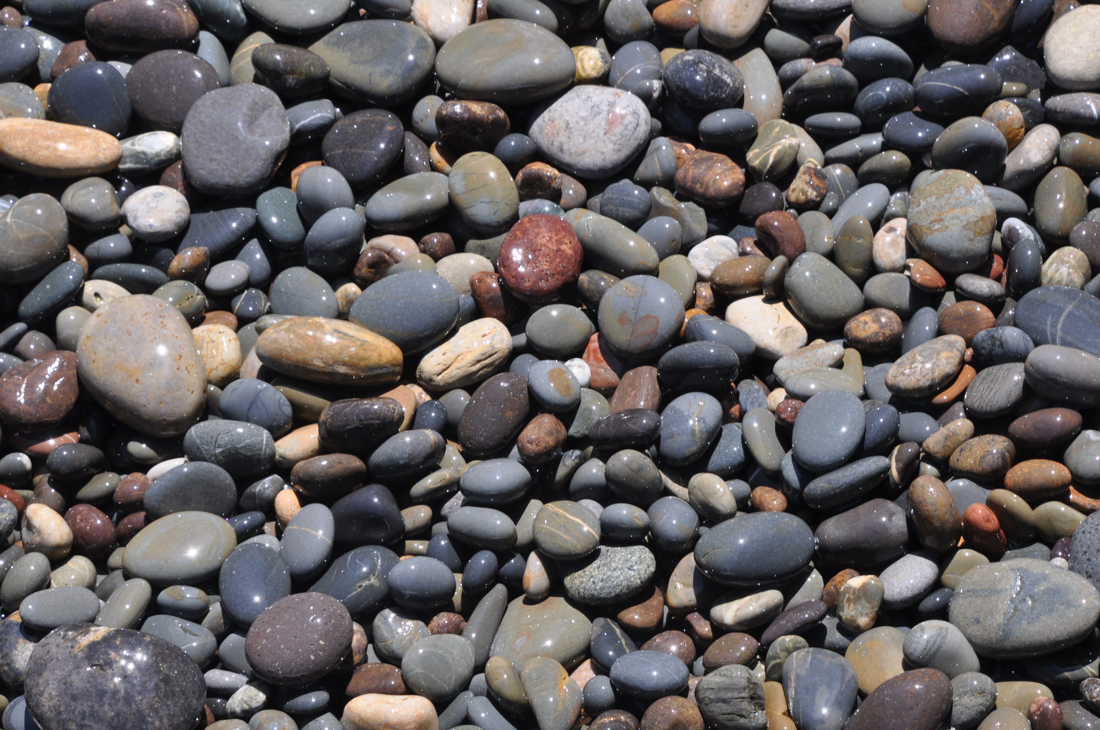 NSW, 4K, beach, basalt, texture, coast, Australia, walk, white, pattern, grey, nature, pebble, stone - Object, pebbles, abstract, backgrounds, Sandstone, HD Wallpaper