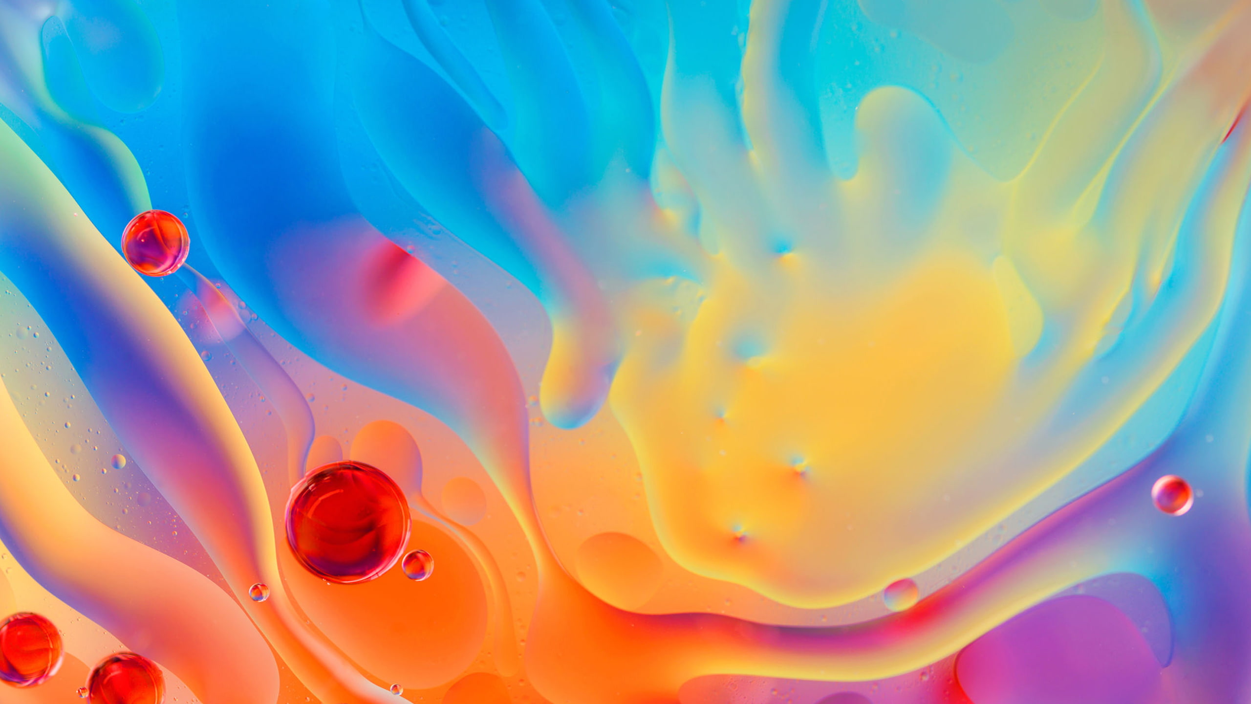 Gionee A1, 2K, Stock, Colorful, HD Wallpaper