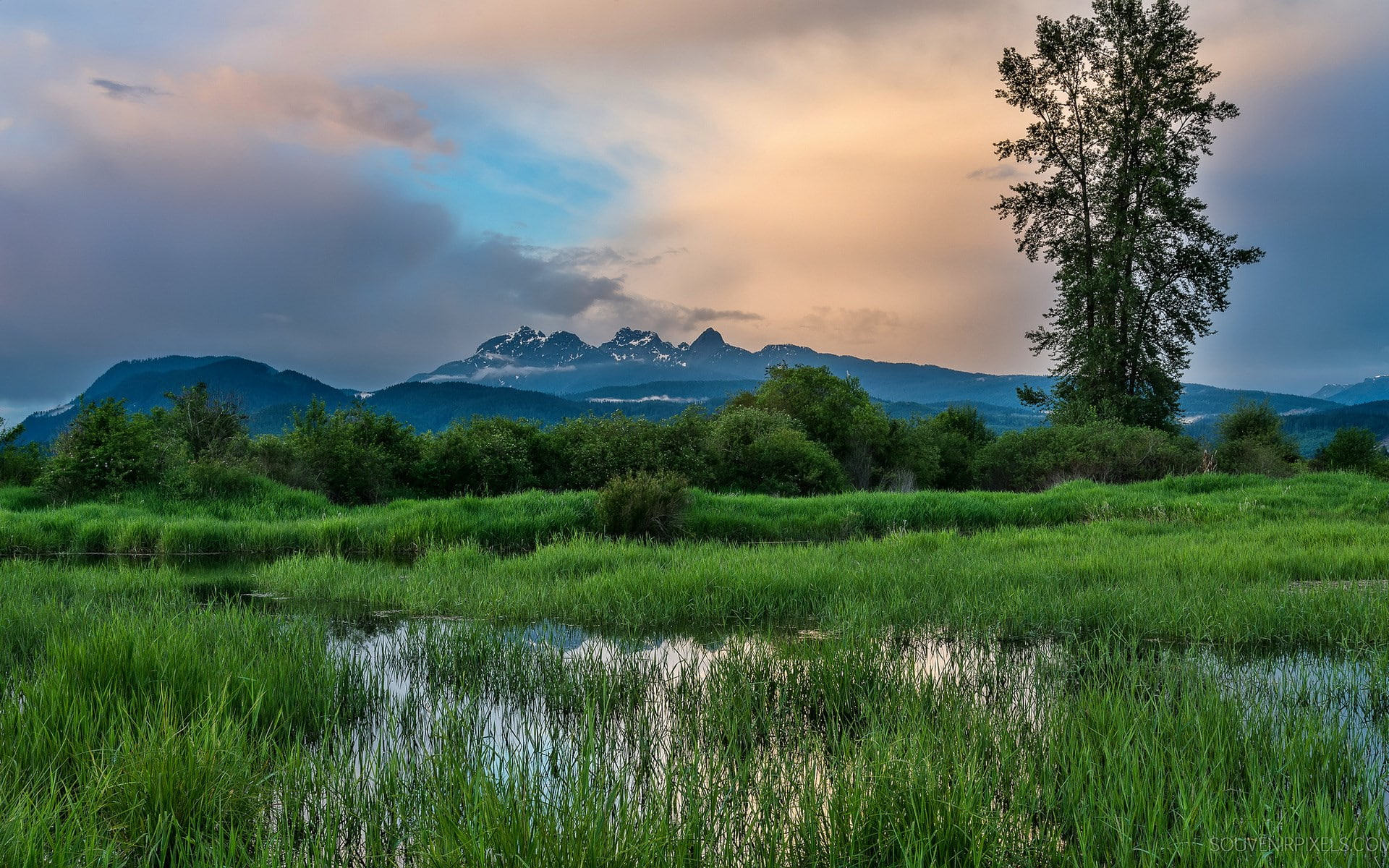 tranquility, plant, mountain, environment, 1080P, cloud - sky, nature, sky, land, non-urban scene, outdoors, beauty in nature, grass, computer  desktop background hd nature images 1920x1200, HD Wallpaper