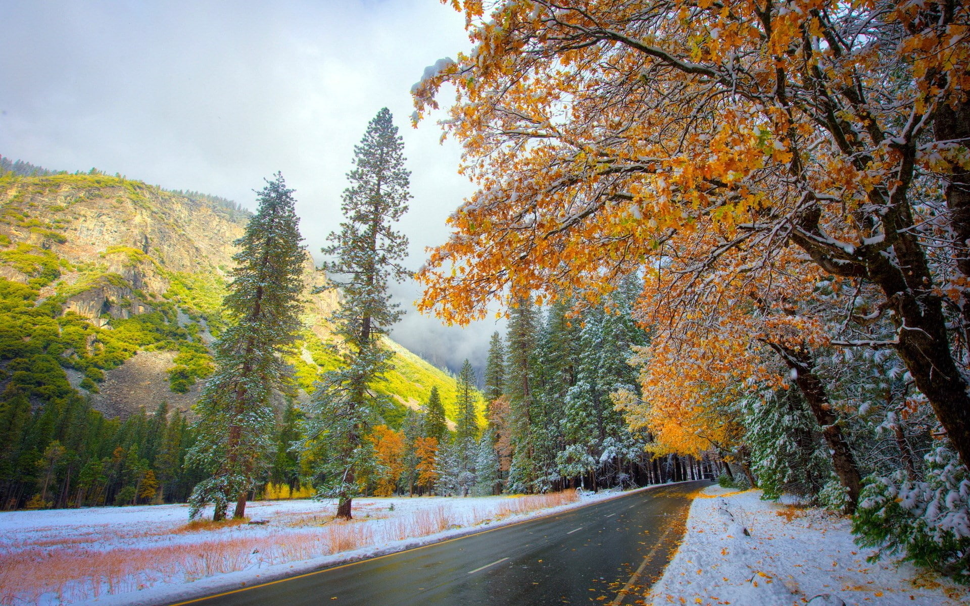 computer  desktop background hd nature images 1920x1200, 1080P, HD Wallpaper