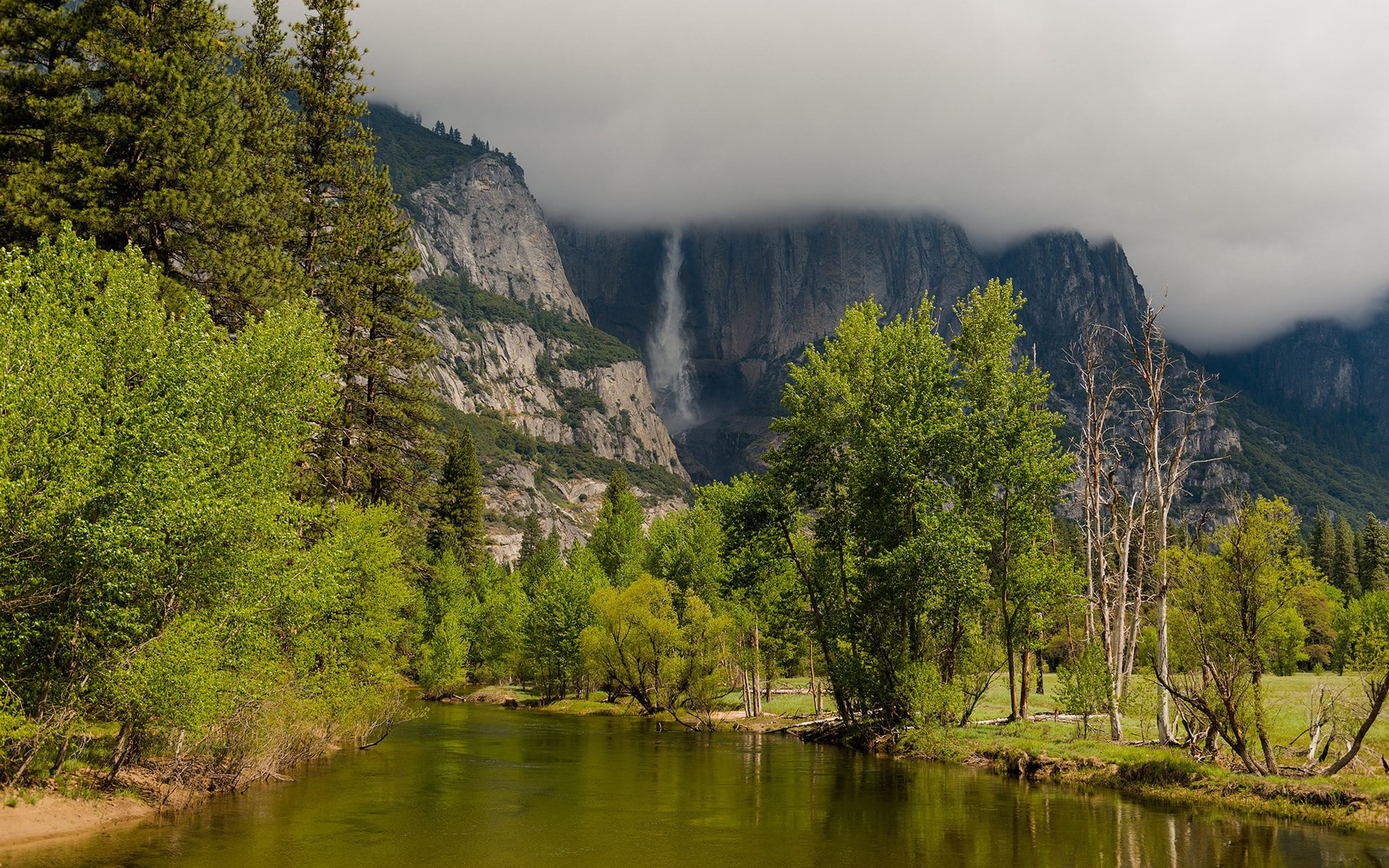 cloud - sky, pine woodland, nature, scenics - nature, forest, pine tree, coniferous tree, 1080P, plant, water, tree, lake, power in nature, mountain, outdoors, HD Wallpaper