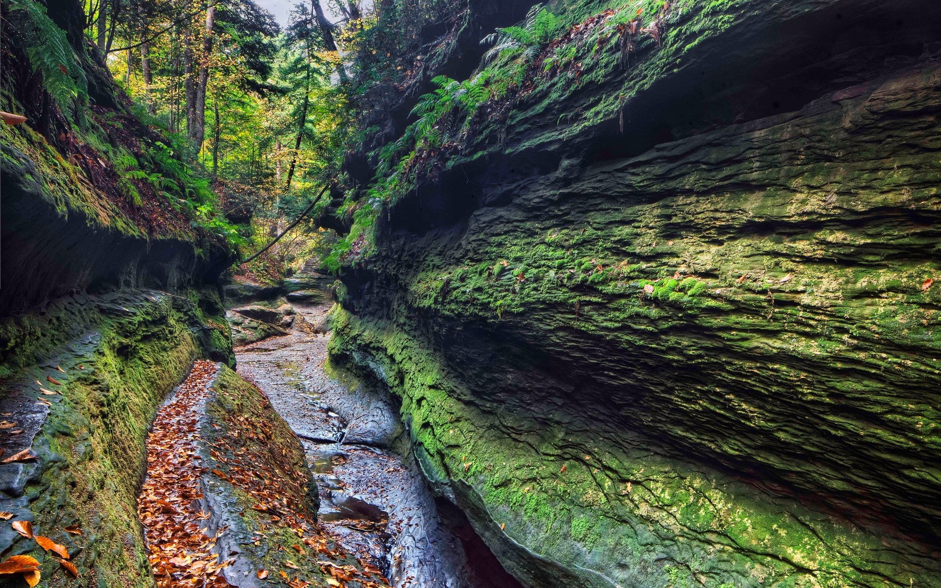1080P, computer  desktop background hd nature images 1920x1200, HD Wallpaper