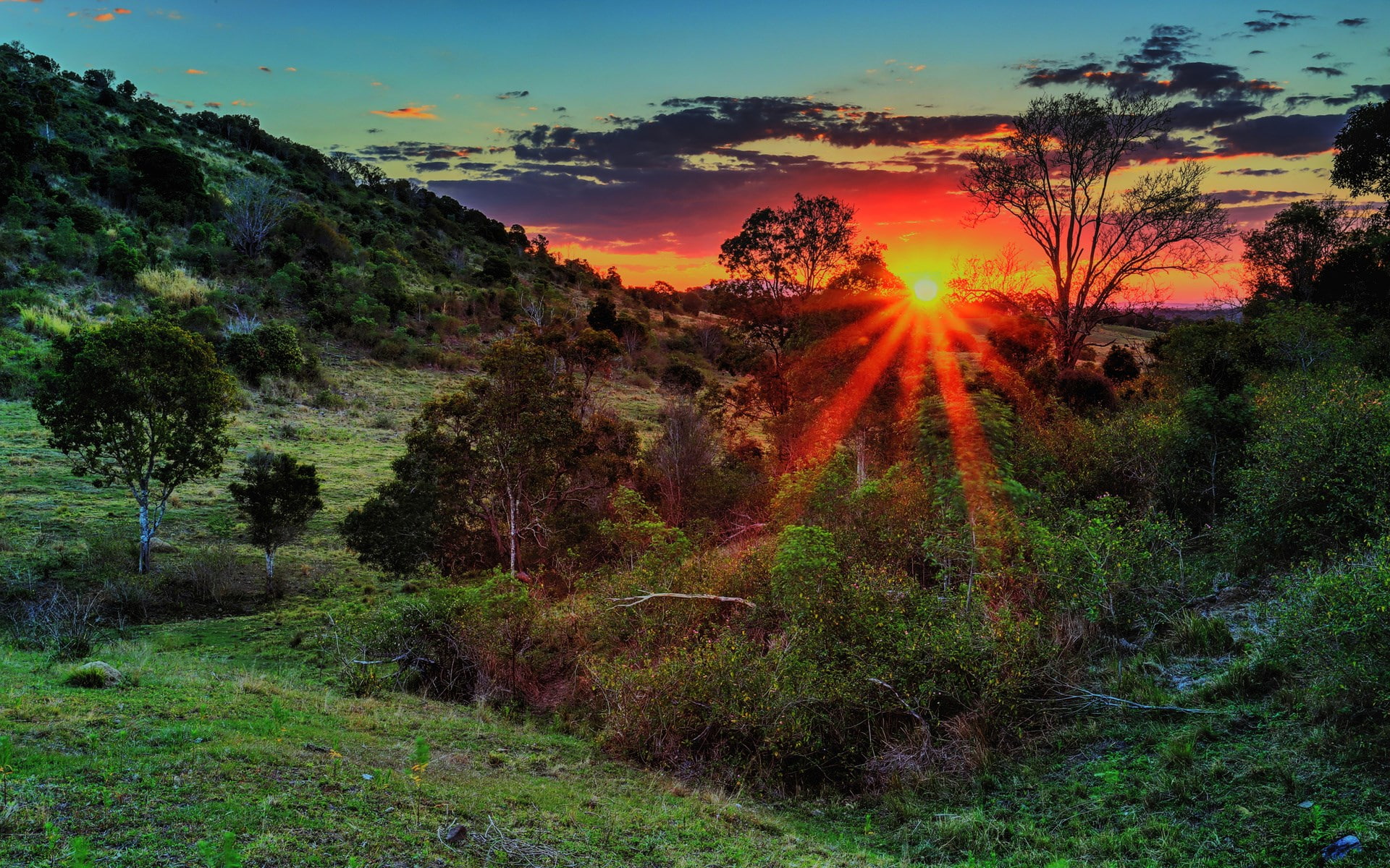 1080P, computer  desktop background hd nature images 1920x1200, HD Wallpaper