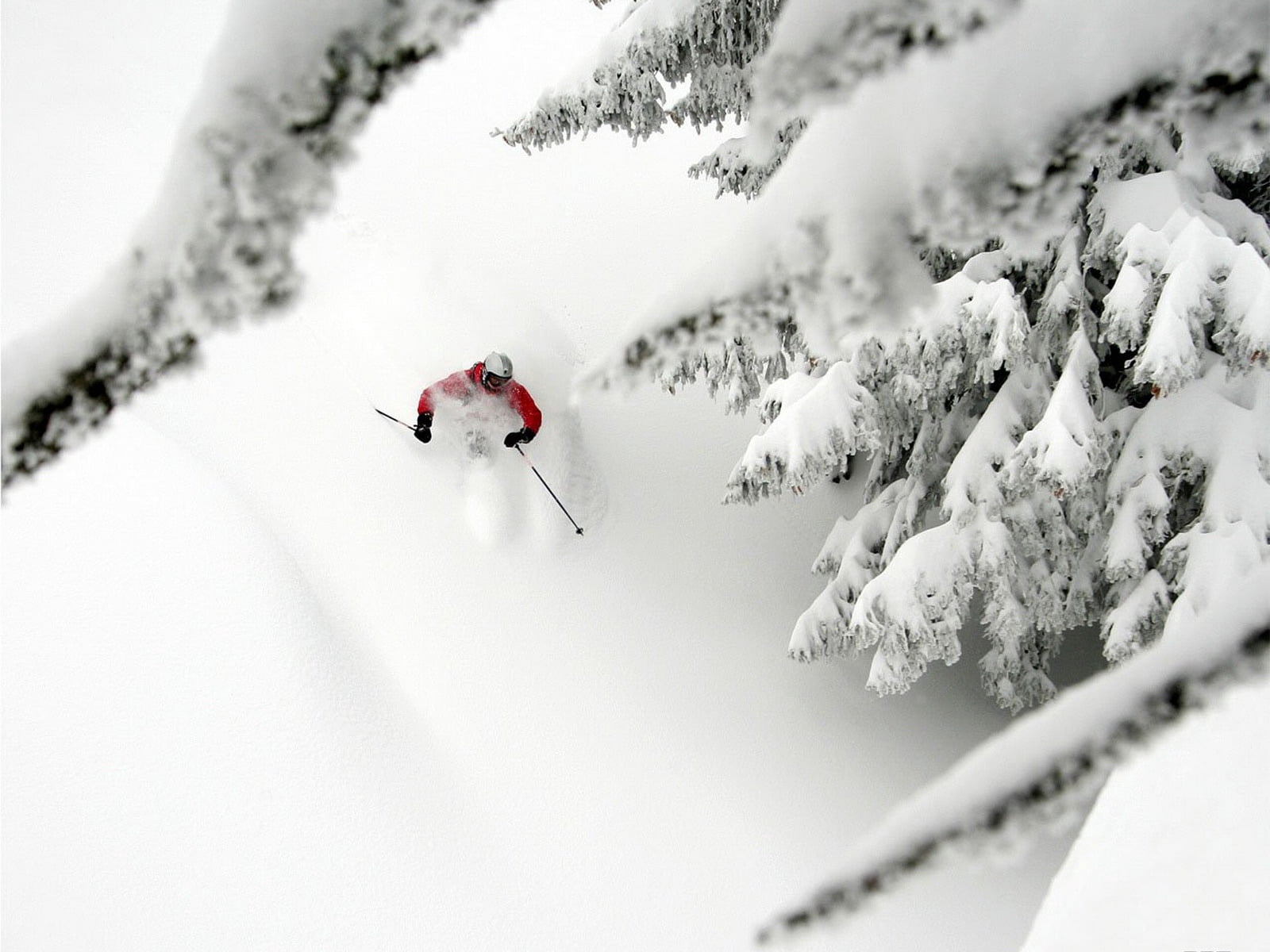 leisure Activity, red, mountain, scenics, sports And Fitness, adventure, poles, cold temperature, outdoors, ski Slope, beauty in nature, descent, skiing, HD Wallpaper