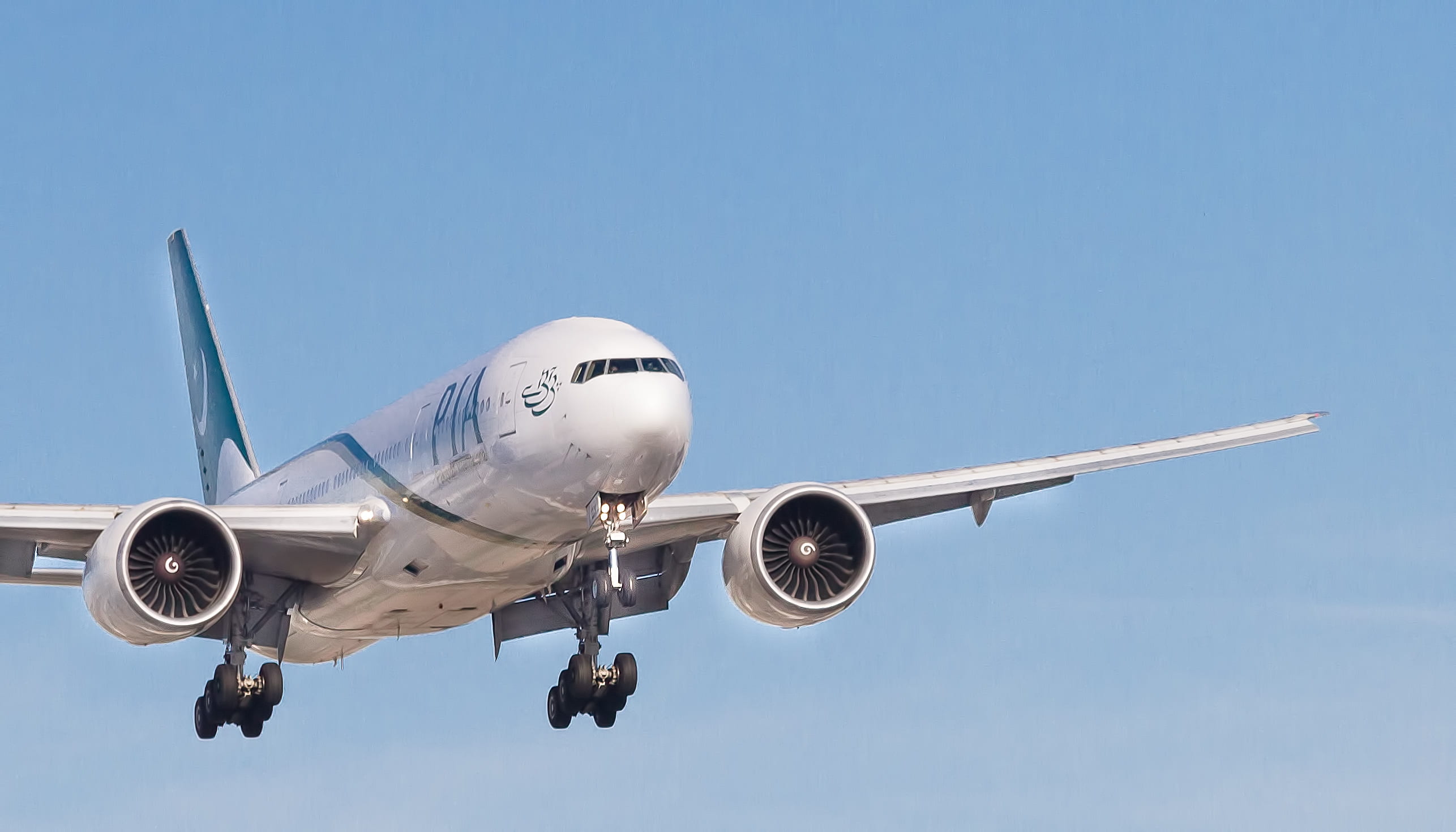 business, commercial airplane, sky, flying, aircraft wing, business travel, leaving, front view, landing - touching down, jet engine, transportation, pia, HD Wallpaper