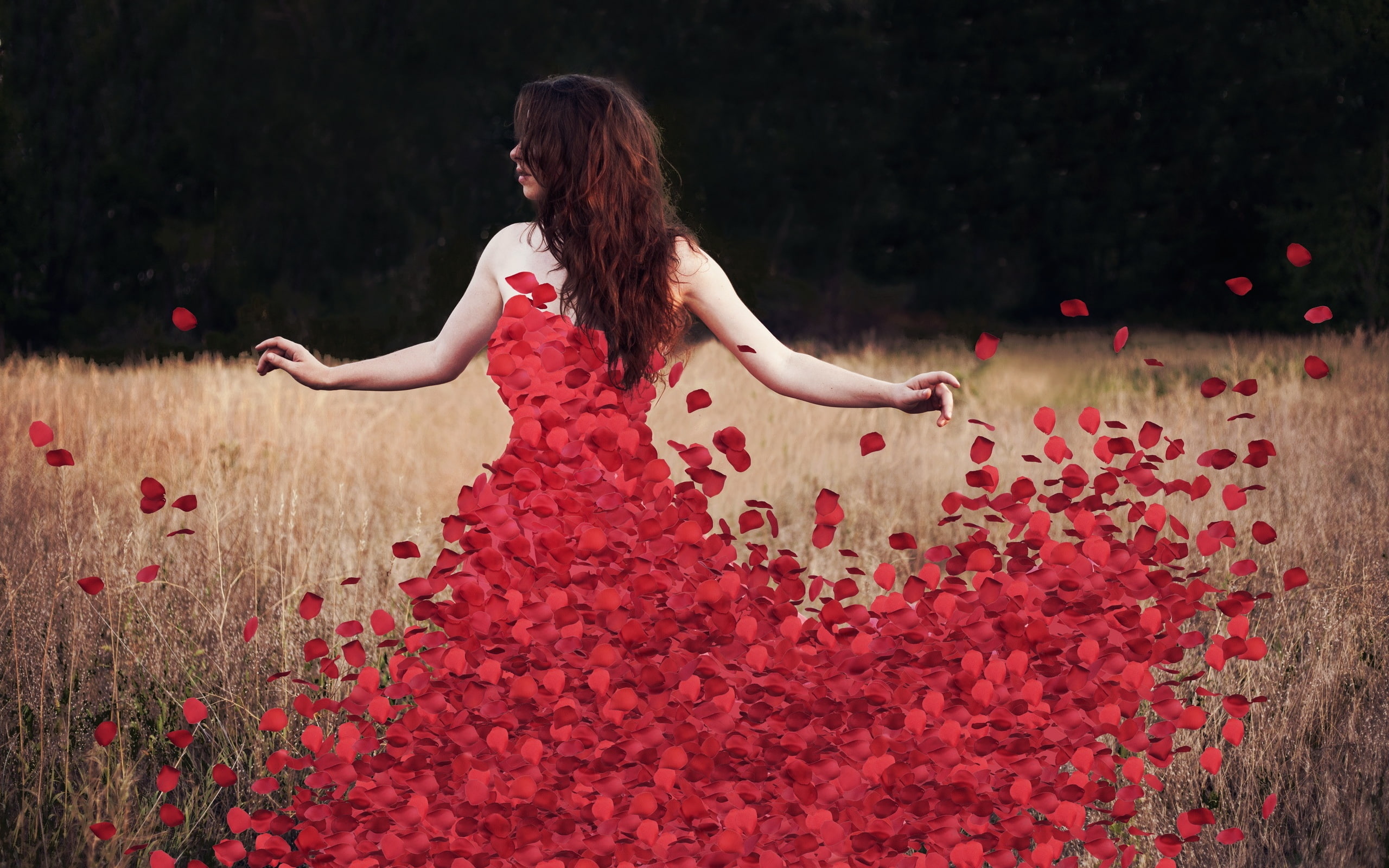 2K, Girl, Red, Petals, Rose, Dress, HD Wallpaper