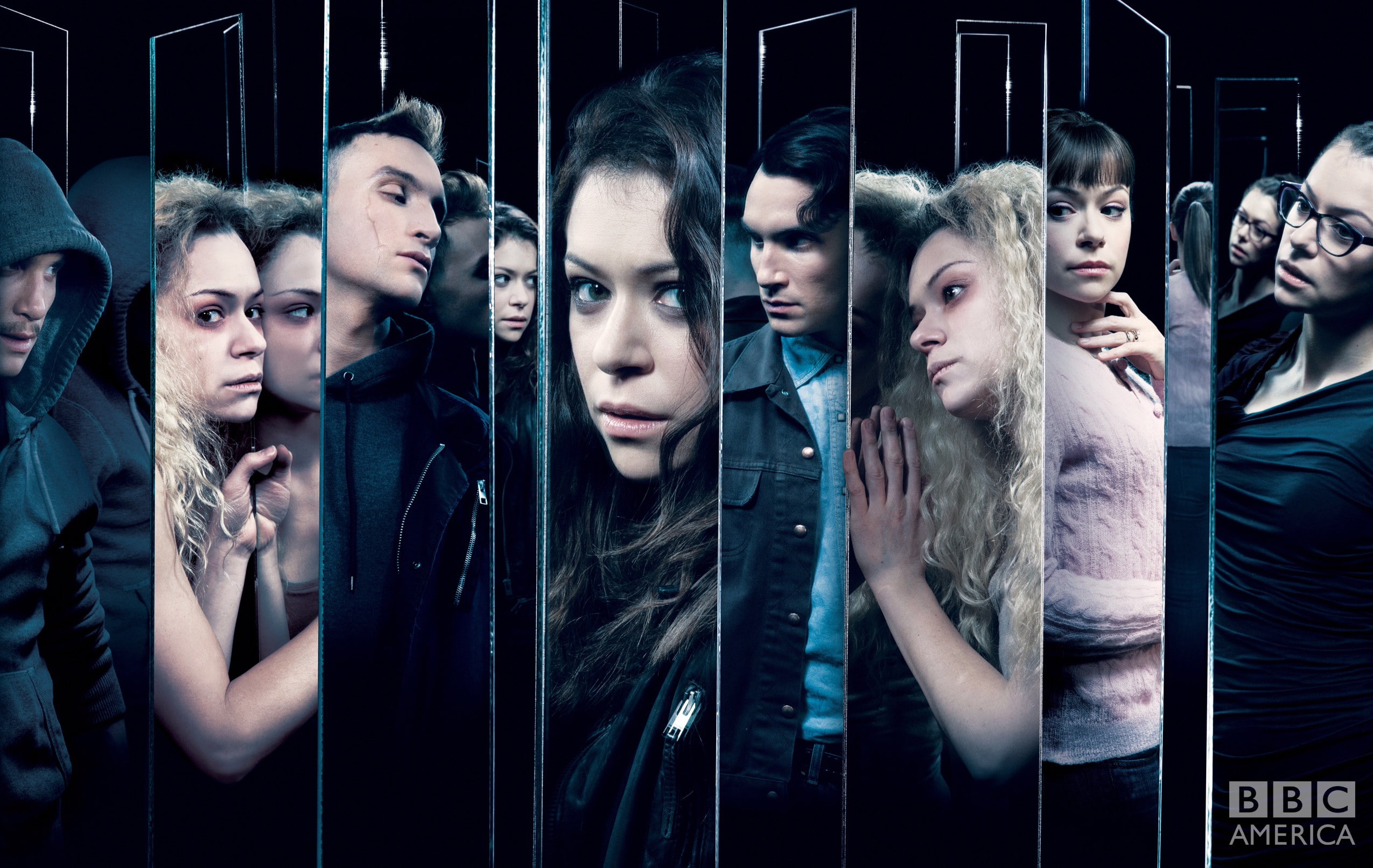 1080P, TV, Orphan Black, Tatiana Maslany, HD Wallpaper