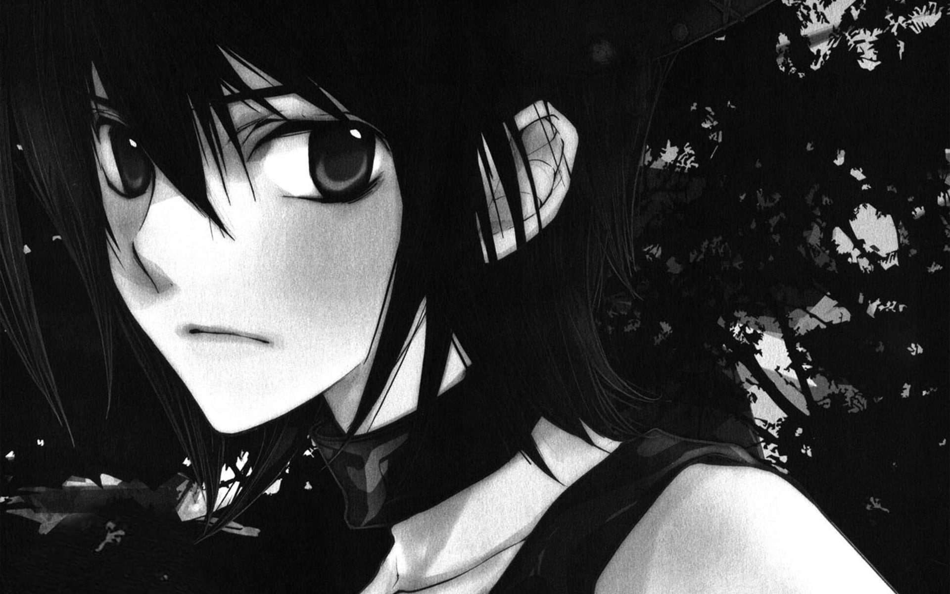 1080P, loveless, aoyagi, monochrome, collar, ritsuka, brunettes, cat, boys, nekomimi, ears, anime, HD Wallpaper
