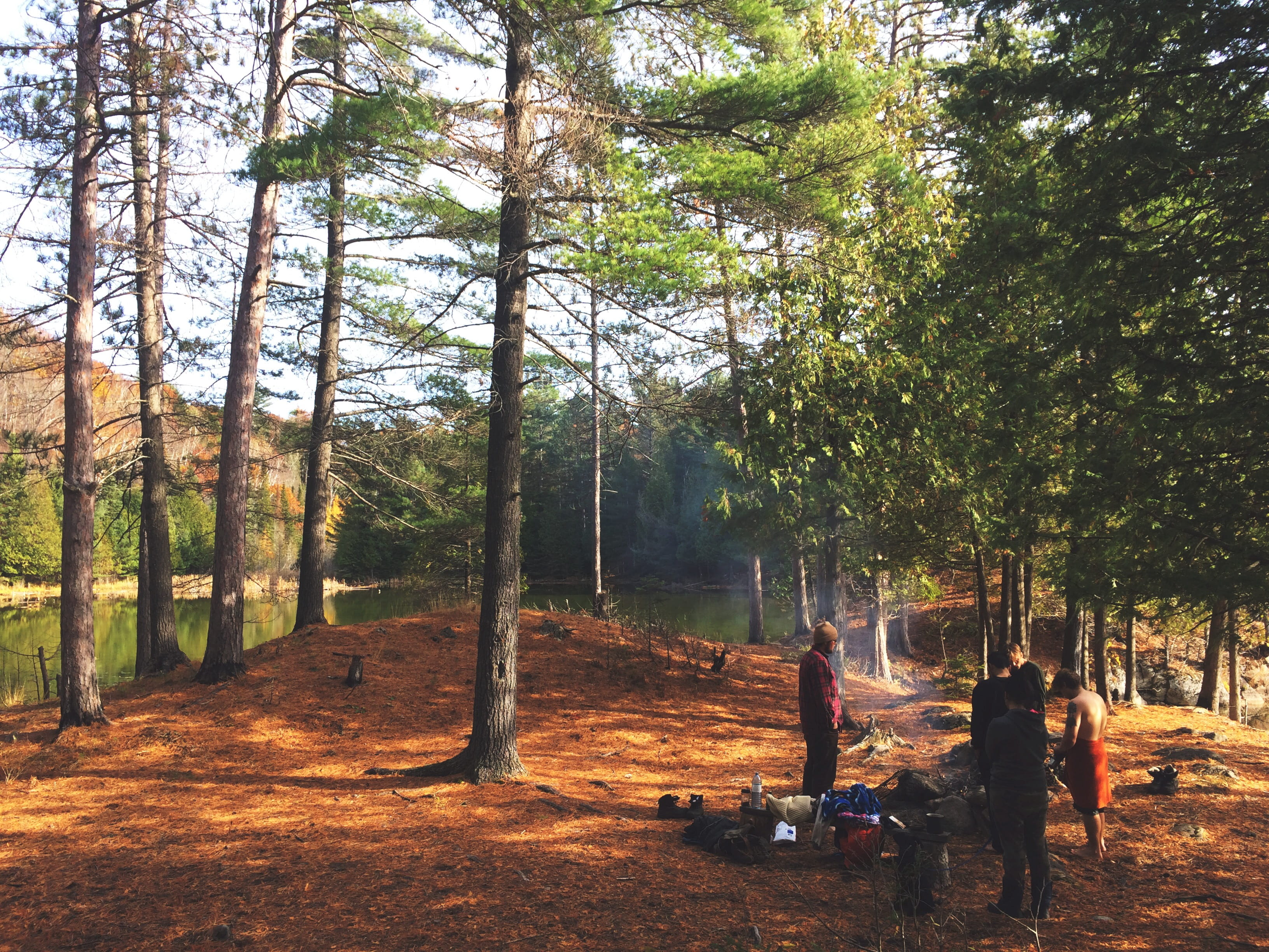 plaid, real people, fire, plant, canada, growth, forest, sitting, people, trunk, nature, women, gilmour, outdoors, full length, tree, men, lifestyles, egan creek road, HD Wallpaper