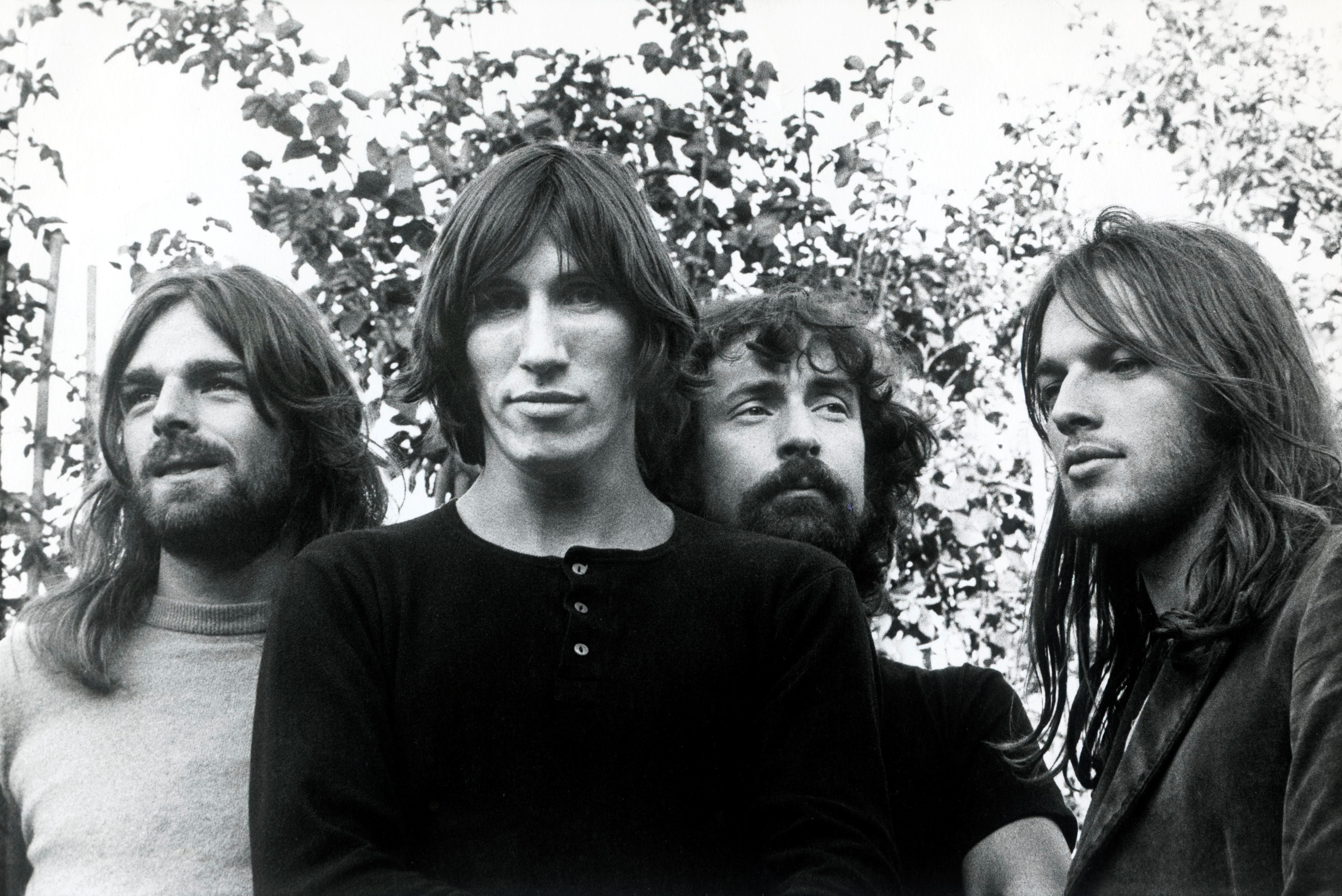 floyd, 5K, syd, band, pink, rock, barrett, HD Wallpaper