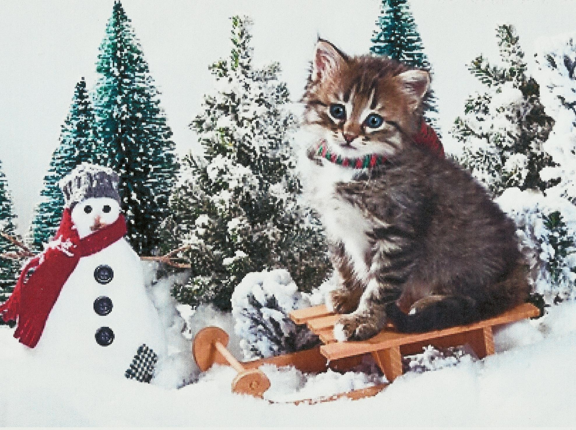 cat, snowman, tabby, pine trees, kitten, silver, 1080P, sled, animals, snow, HD Wallpaper
