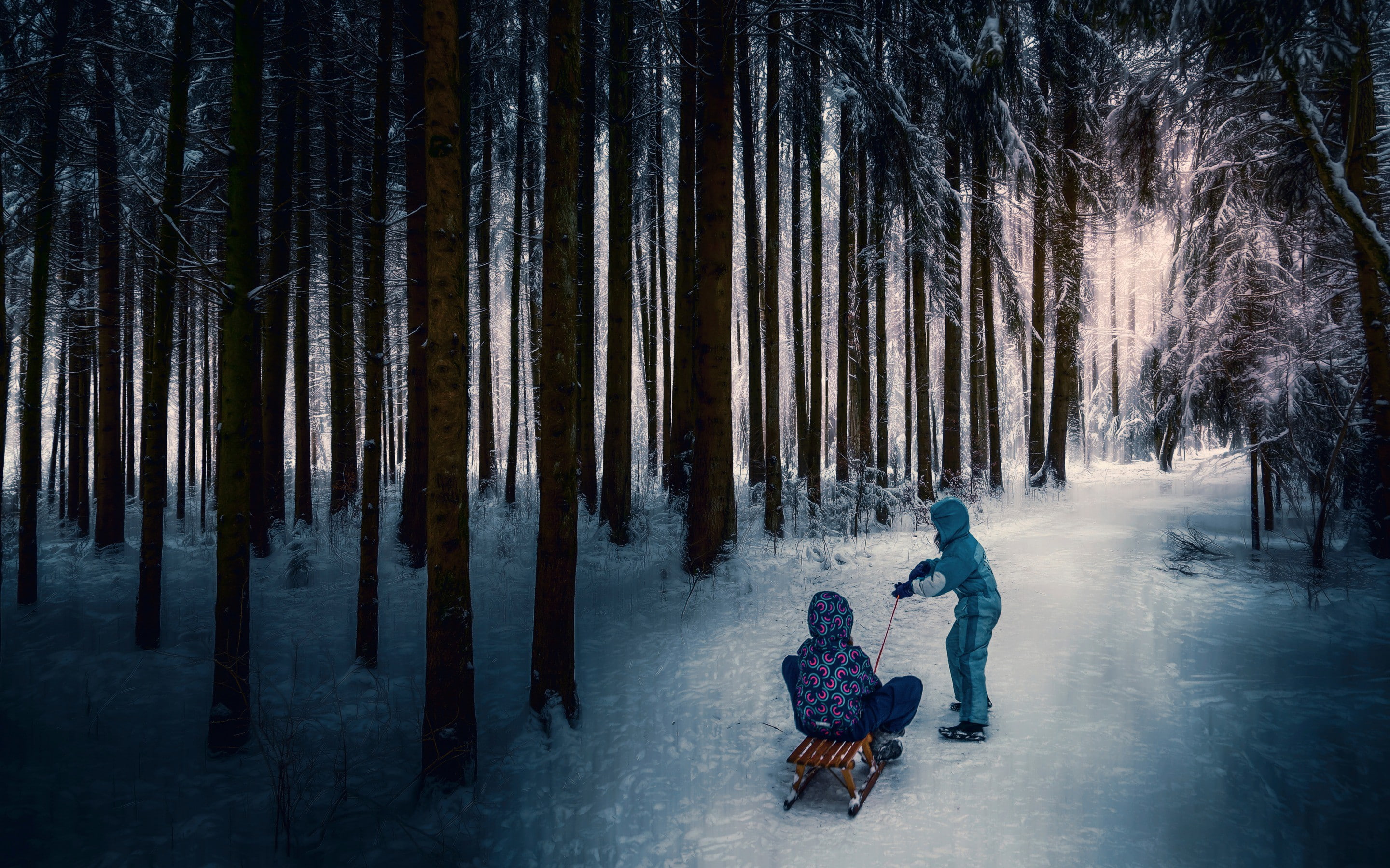 2K, children, s, sled, boy, winter forest, jacket, processing, winter, floral, blue, childrens, forest, HD Wallpaper