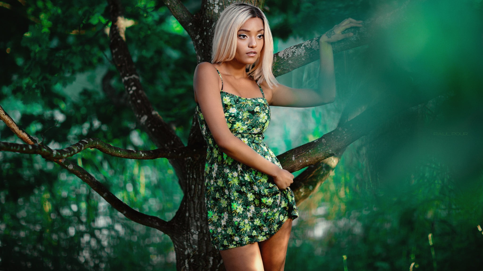 fashion, hairstyle, 1080P, beauty, looking away, woodland, beautiful people, dress, nature, Paul Pour, adult, tattoo, plant, forest, tree, women, outdoors, HD Wallpaper