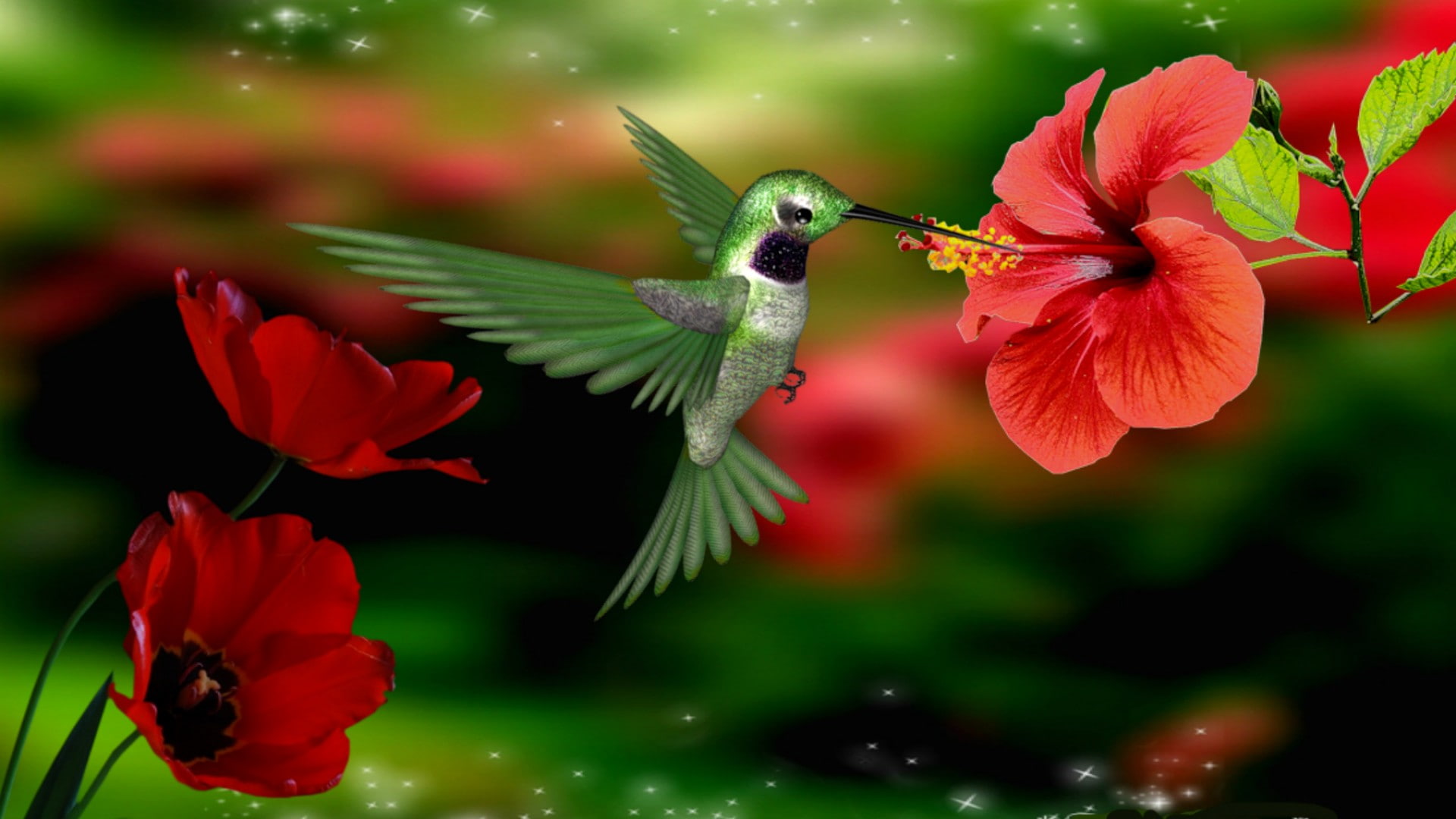 1080P, flower, hummingbird, animals, bird, HD Wallpaper