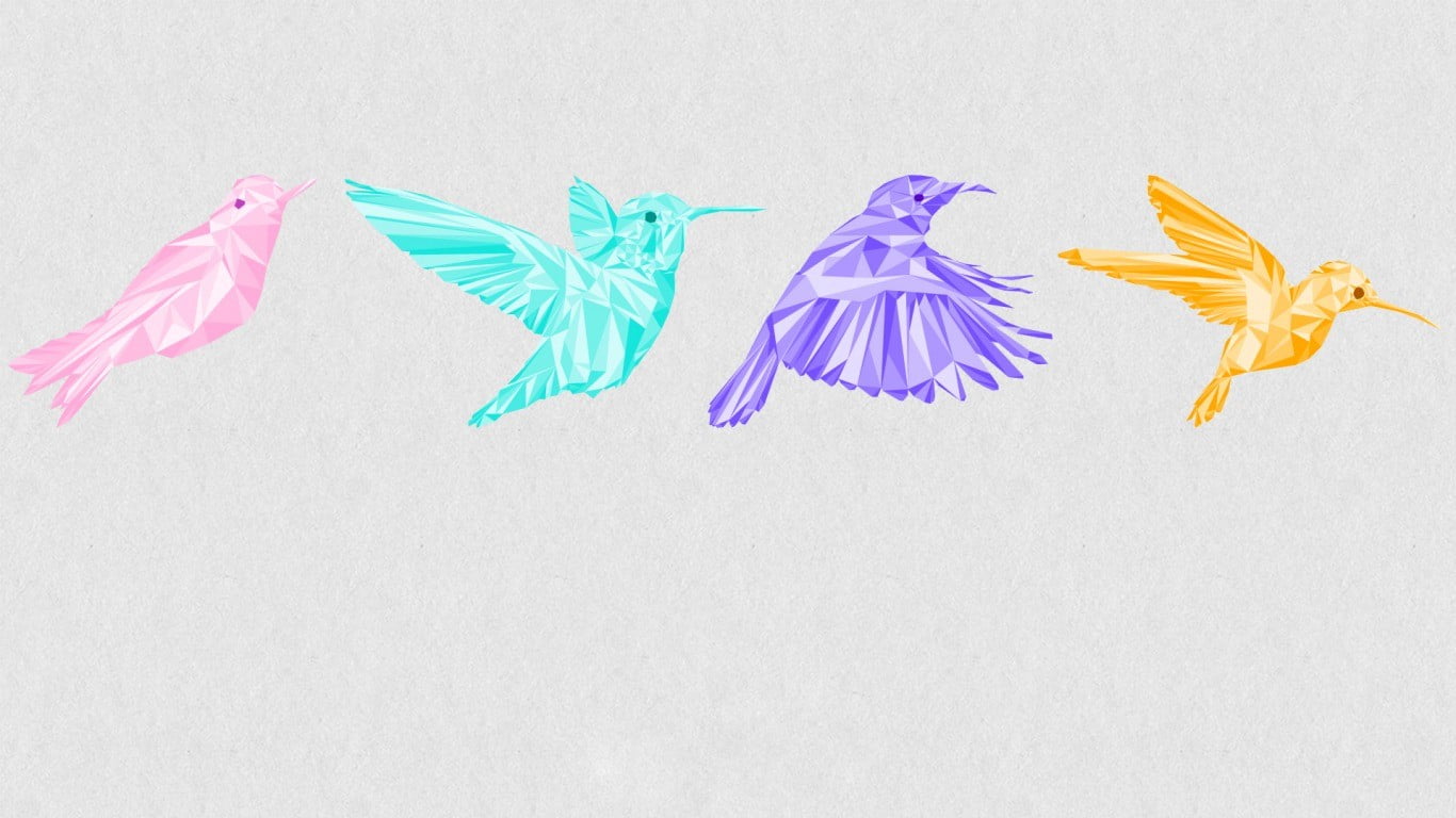 birds, no people, white background, copy space, 720P, craft, still life, flower, representation, four, high angle view, indoors, teal, animal representation, HD Wallpaper