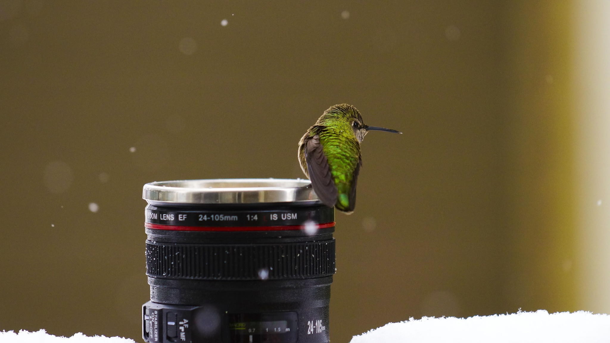 1080P, macro, birds, hummingbirds, snow, lens, HD Wallpaper