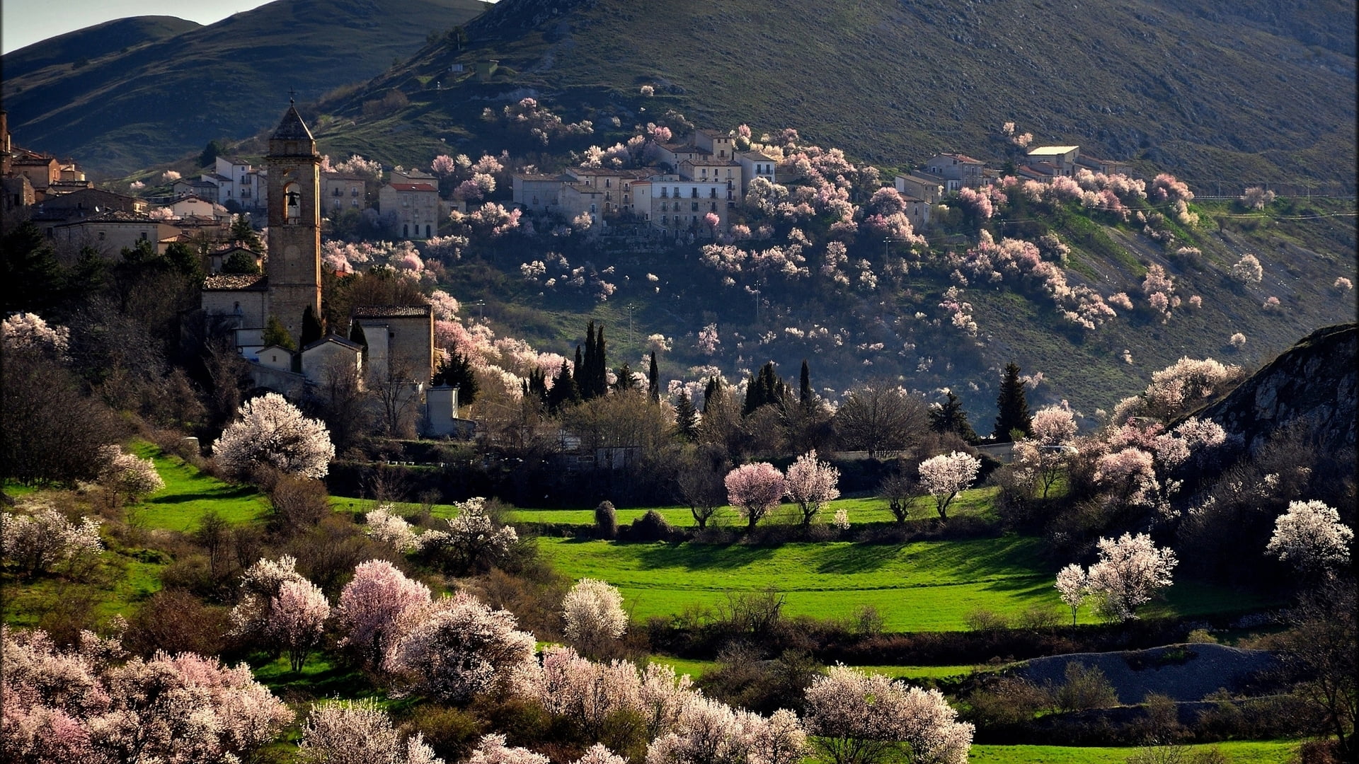 landmark, castle, land, rural, building exterior, trees, beauty in nature, flowering plant, tourist, flower, scenery, architecture, park, tower, mountain, HD Wallpaper
