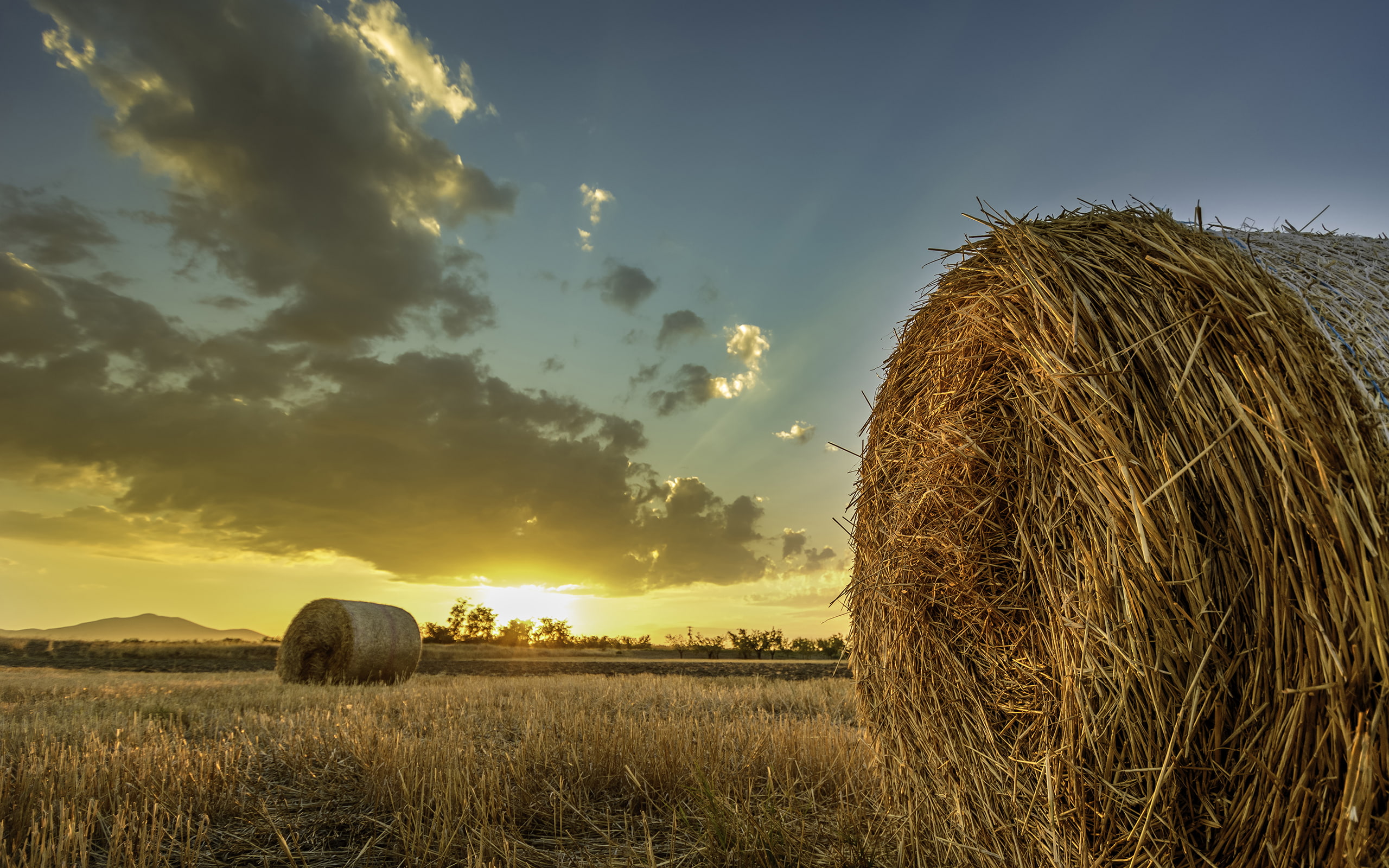 clouds, hd, 2K, field, nature, hay, sunset, HD Wallpaper