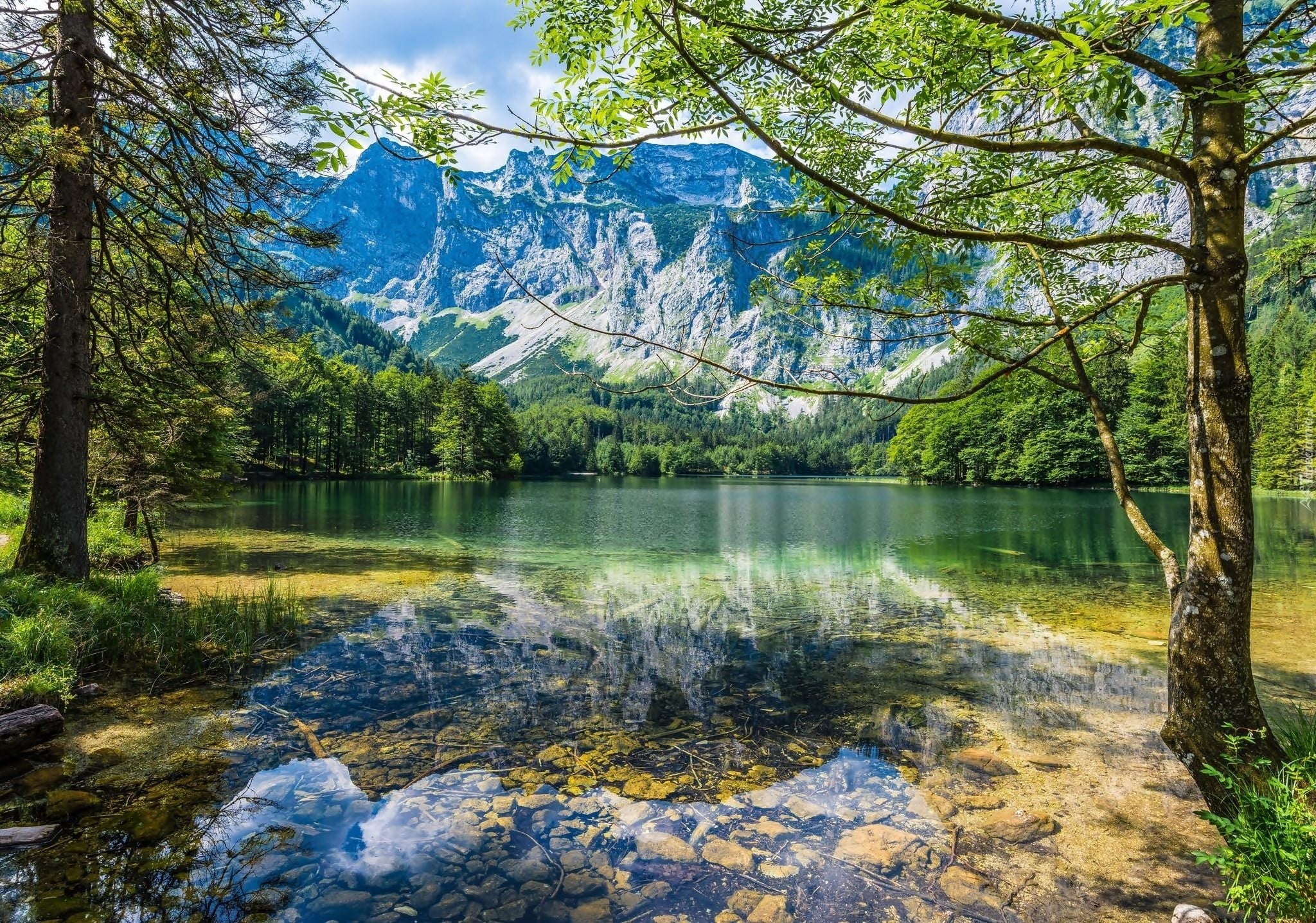 forest, non-urban scene, river, body, leaf, tranquility, water, 1080P, day, mountains, plant, tree, mountain, beauty in nature, lake, green, flowing water, HD Wallpaper