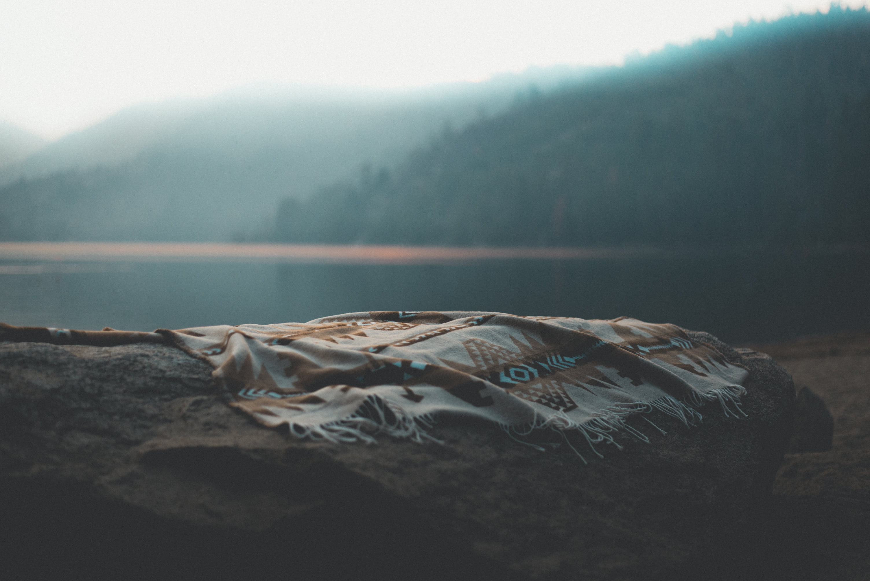 day, tranquility, environment, fog, brown, nature, mountains, beauty in nature, haze, non-urban scene, mountain, lake, animal themes, animal, tree, water, HD Wallpaper