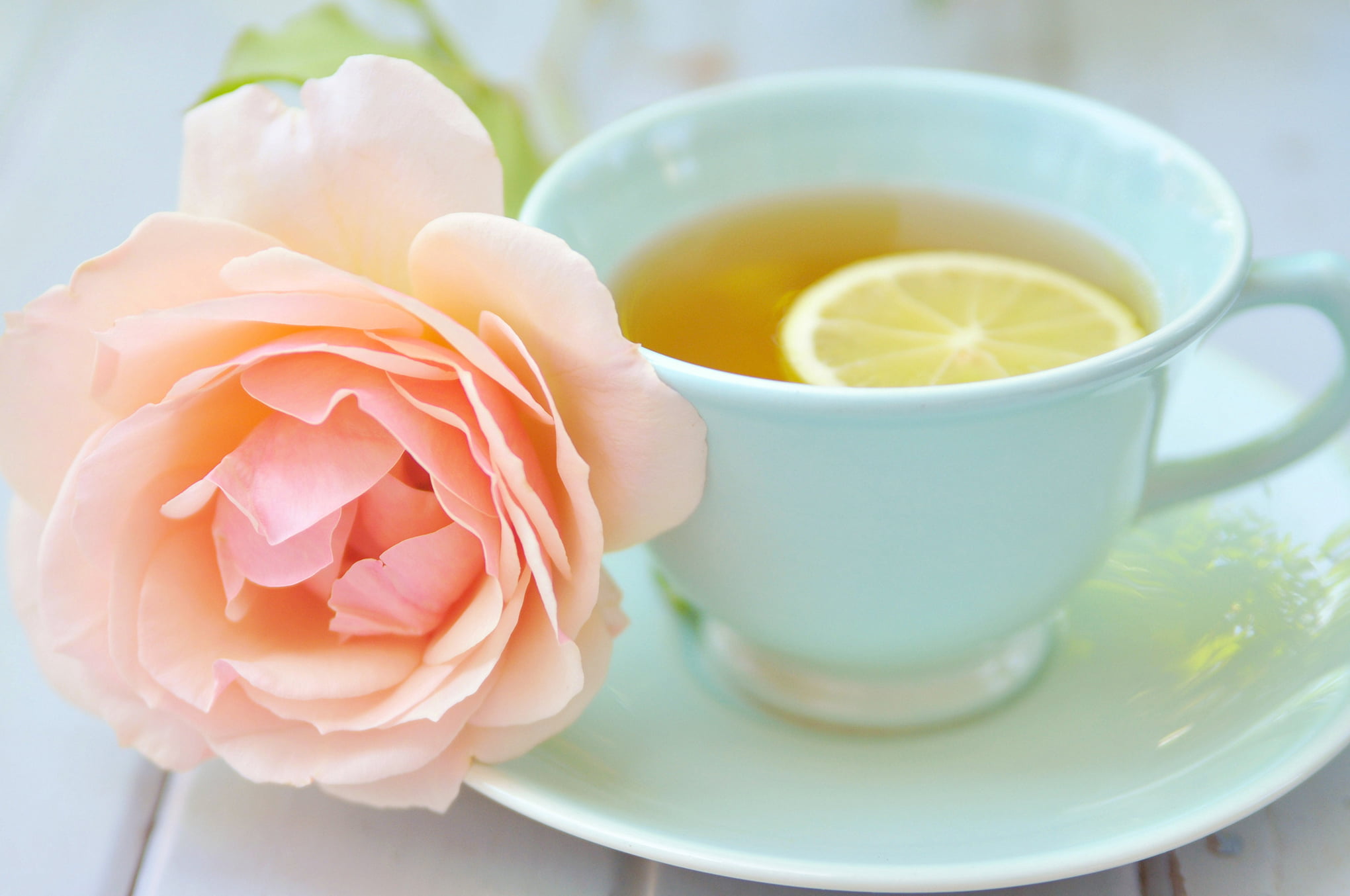 love, focus on foreground, hot drink, romance, heat - Temperature, rose, yellow, tea - Hot Drink, 1080P, blossom, plant, table, freshness, single Flower, HD Wallpaper