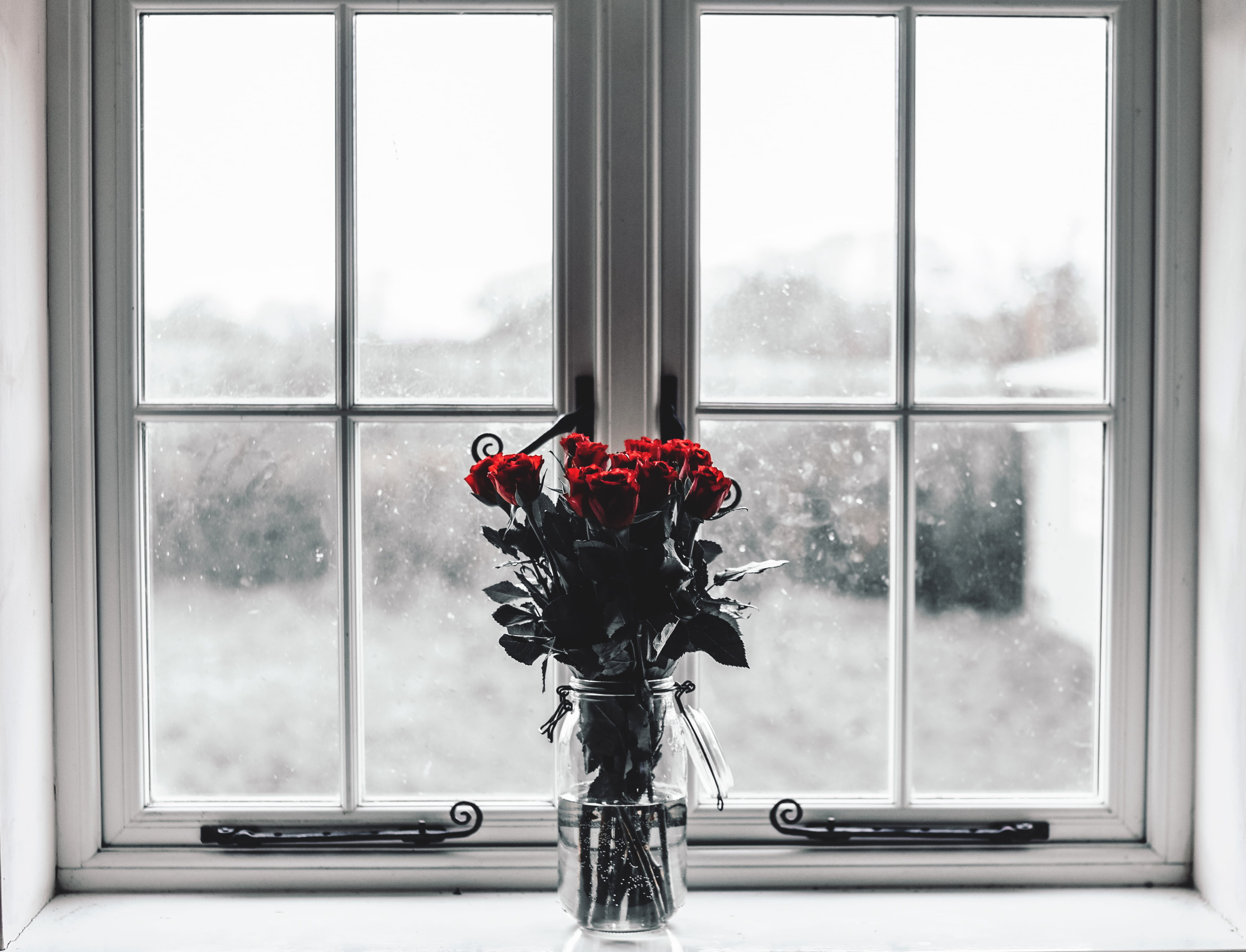 vase, indoors, day, window frame, no people, flower head, beauty in nature, still life, nature, clear, bouquet, flower, photography, colors, transparent, HD Wallpaper