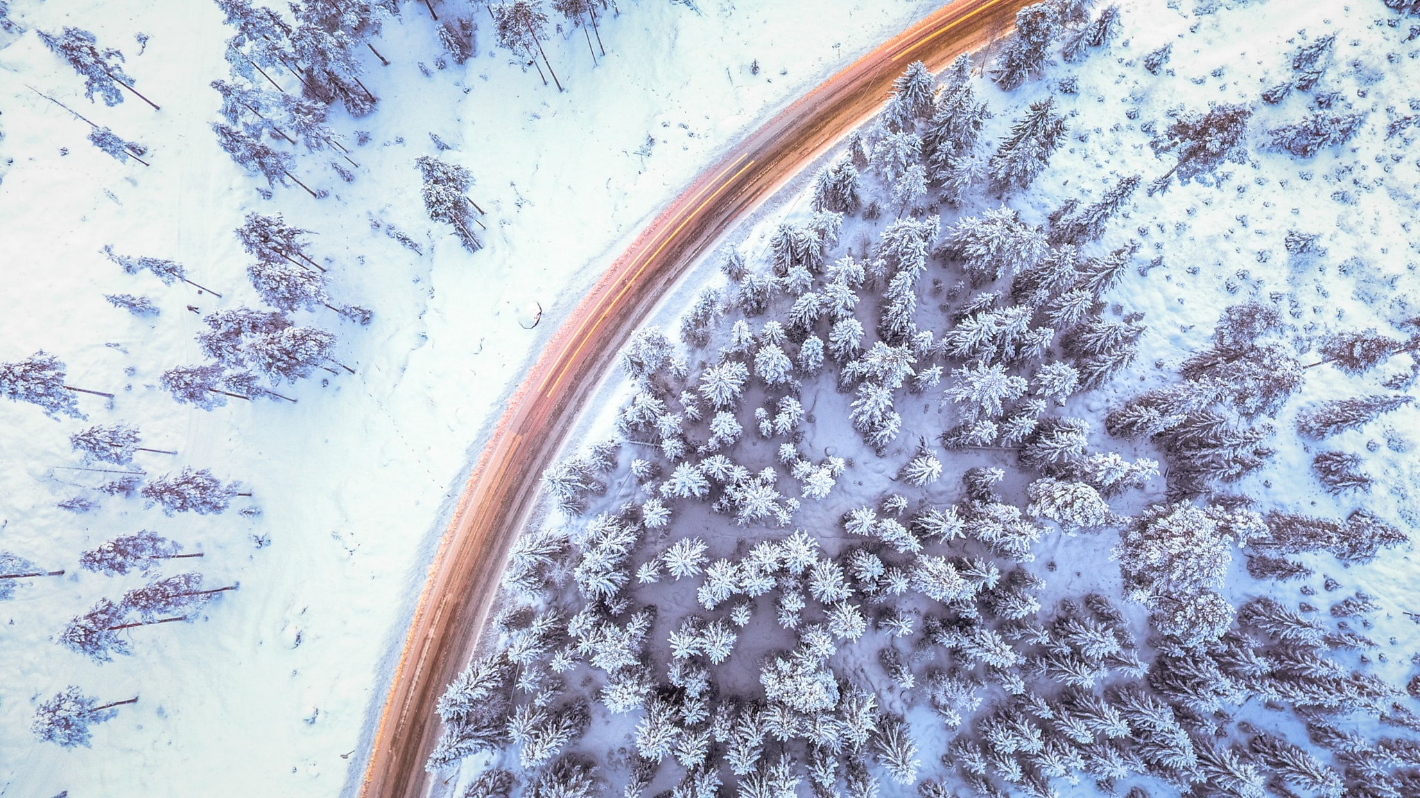 road, pine trees, snow, cold, winter, forest, 1080P, HD Wallpaper