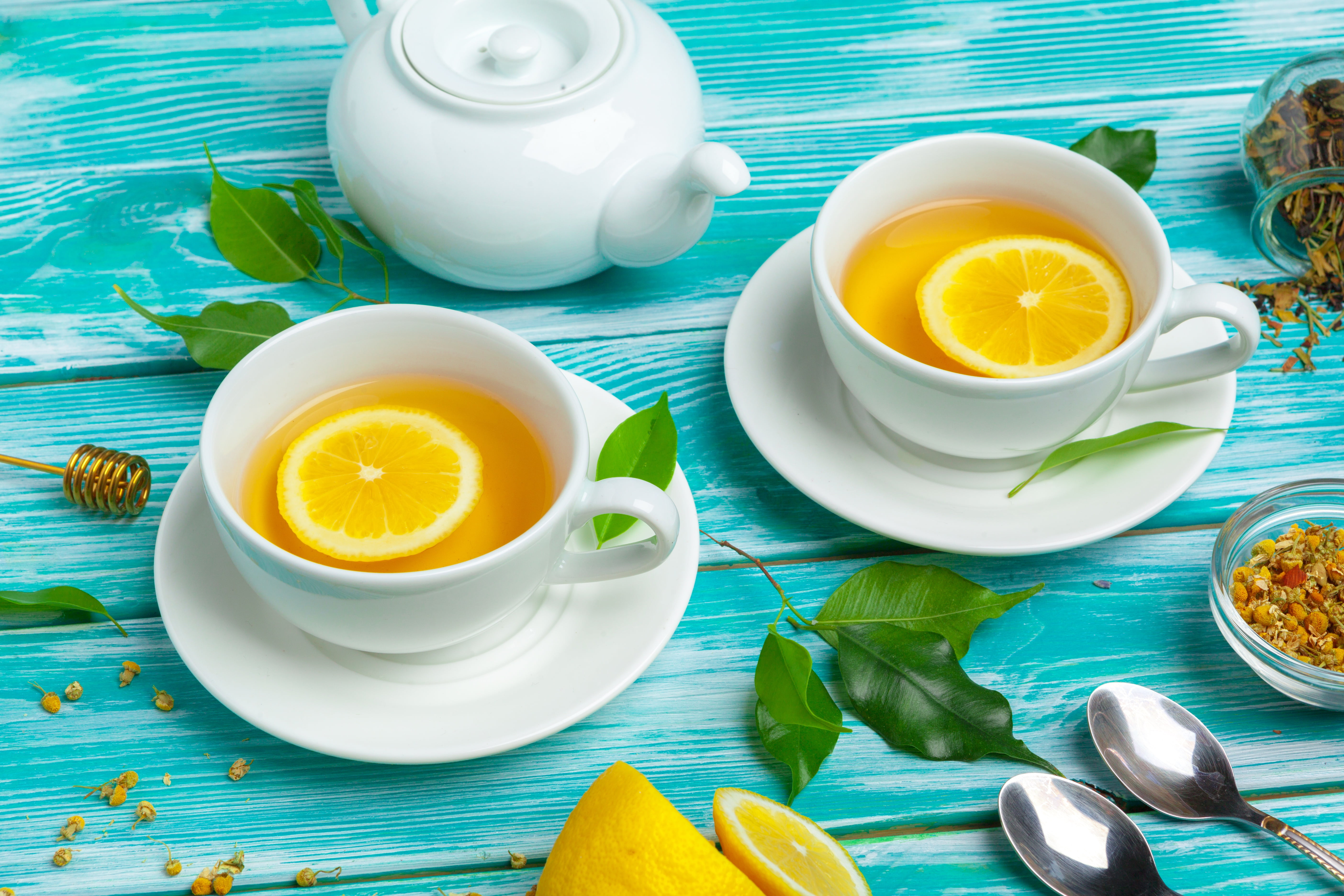 Cup, Lemon, Tea, Food, Still Life, Drink, 5K, HD Wallpaper