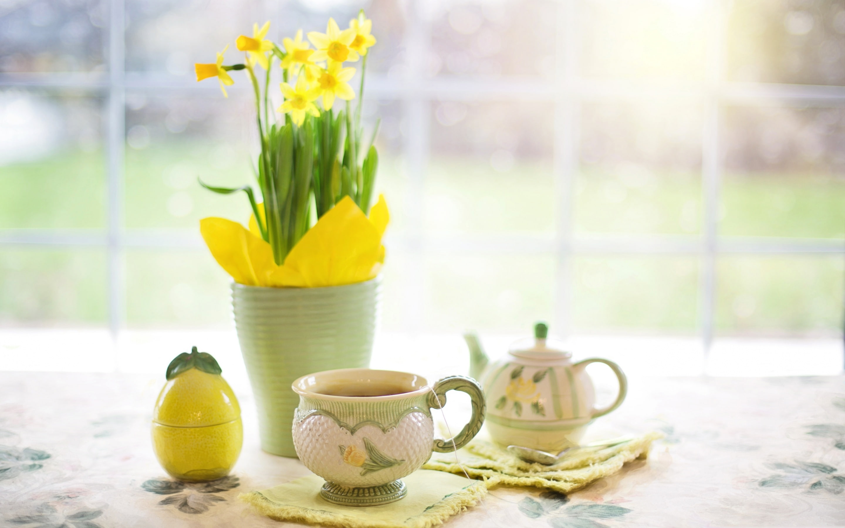 table, Cup, still life, kettle, Narcissus, tea, flowers, 2K, vase, HD Wallpaper