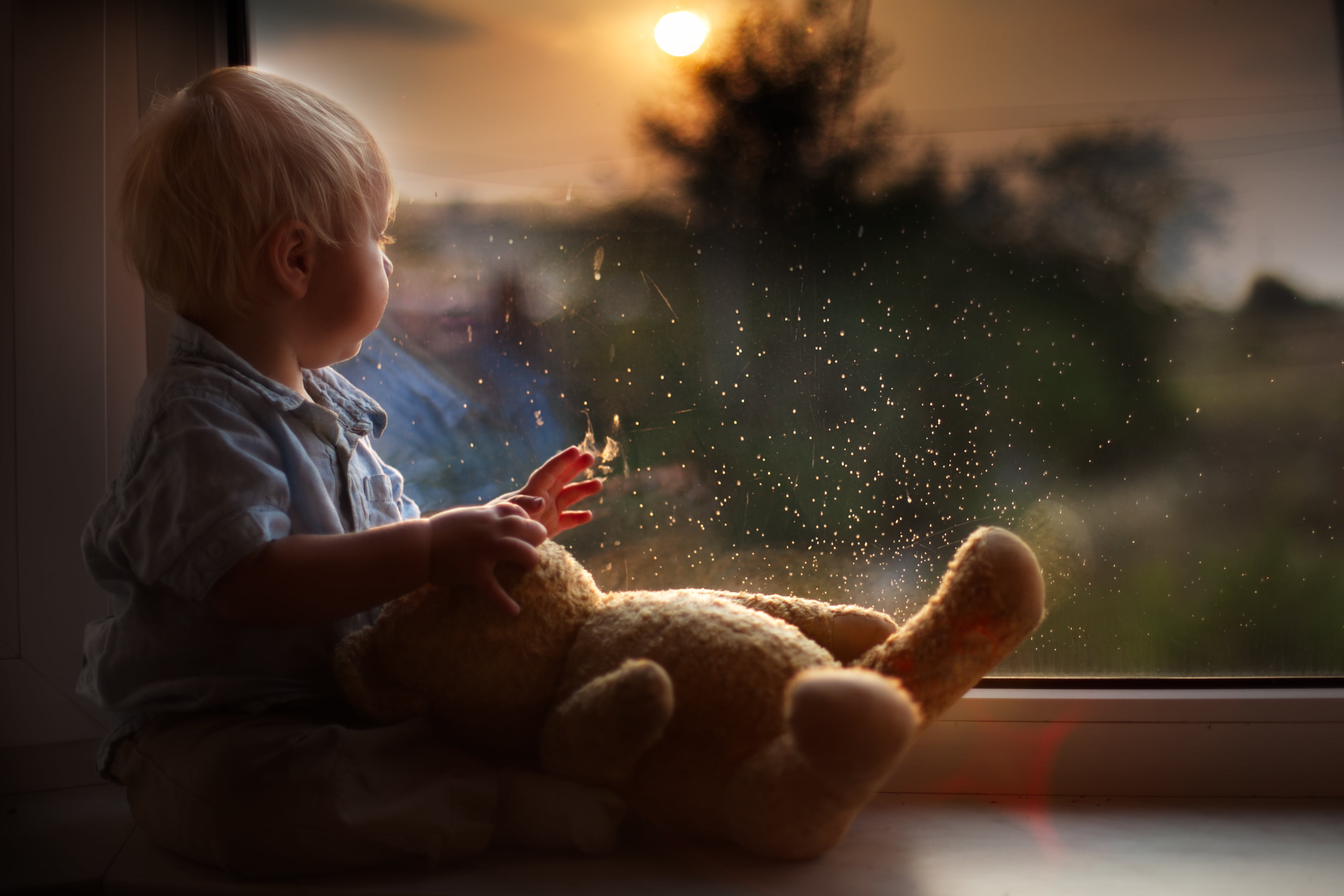 innocence, focus on foreground, casual clothing, holding, looking, men, plush, baby, blond hair, nature, sitting, childhood, males, boy, 2K, boys, toy, HD Wallpaper