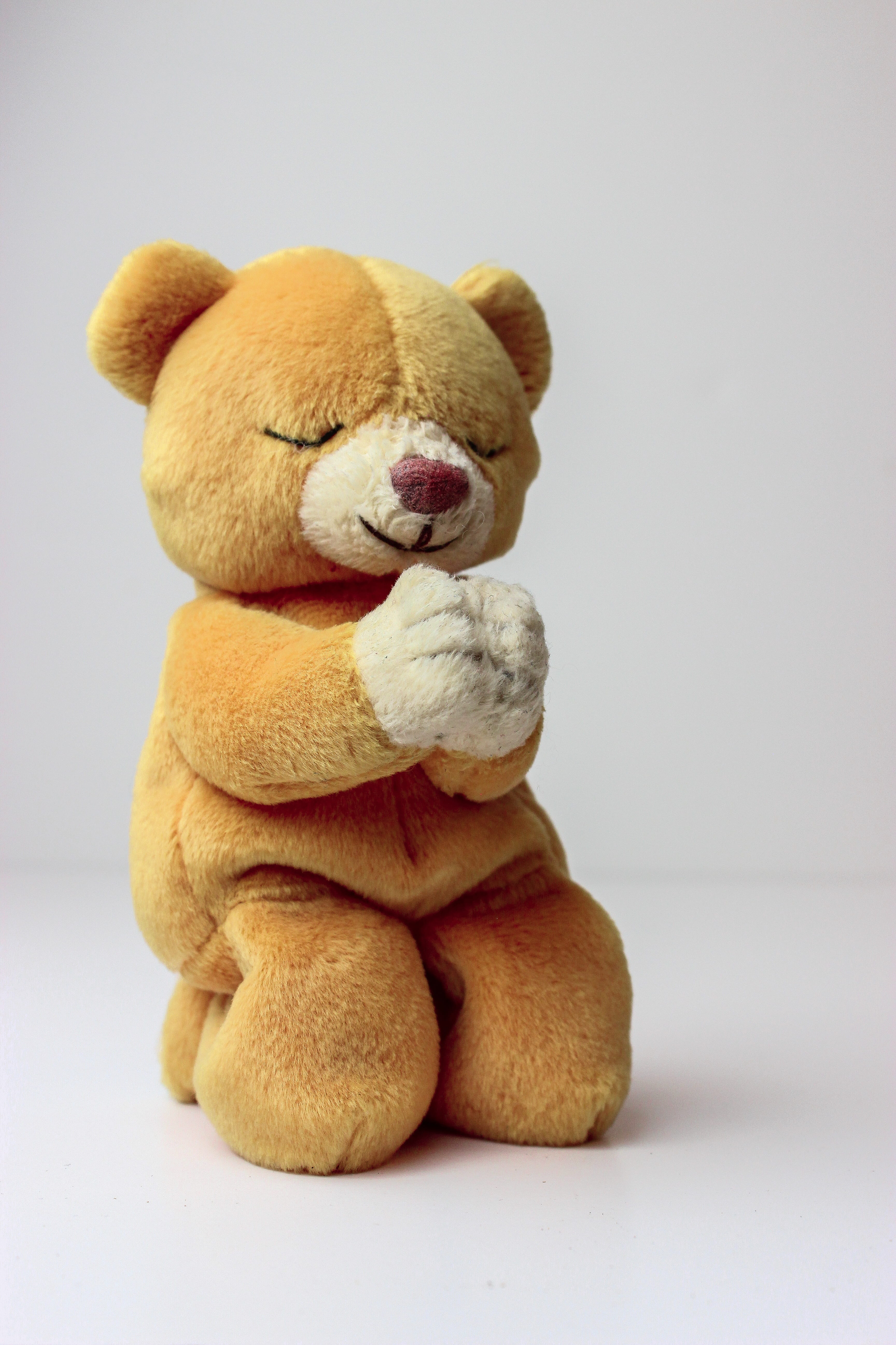 praying, plush toy, 5K, cute, animal themes, animal representation, brown, beanie baby, teddy bear, no people, toy, indoors, studio shot, sweet, bear, Phone HD Wallpaper