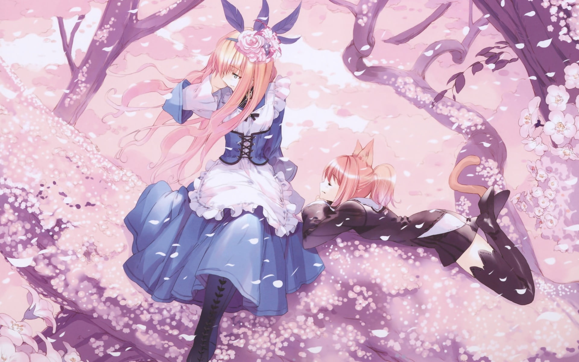 pink color, cat ears, dress, flower, anime, nature, event, celebration, no people, indoors, trees, low angle view, freshness, anime girls, 1080P, pattern, HD Wallpaper