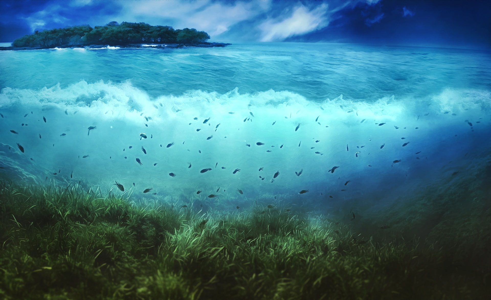 Life, Design, vertebrate, animal wildlife, Aero, shawl, 1080P, photo manipulation, land, plant, Aquatic, Digital, group of animals, fish, marine, outdoors, HD Wallpaper