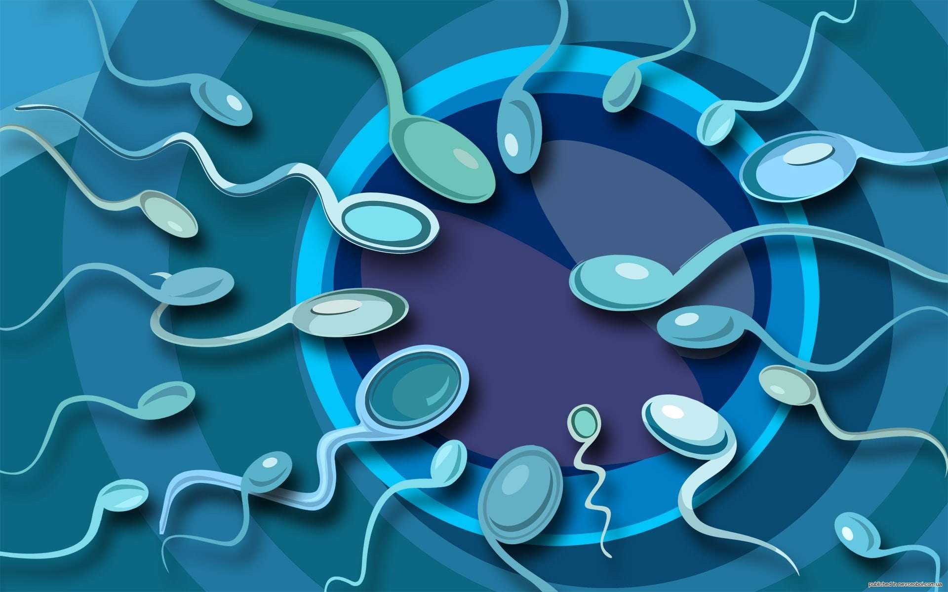 1sperm, man, vector, sperm, Mating, bokeh, Cell, Sexual, psychedelic, Swimming, life, eggs, abstract, 1080P, DNA, Swim, egg, Medical, Male, abstraction, HD Wallpaper