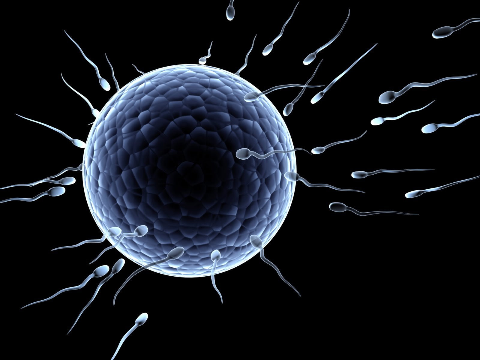 men, bokeh, life, abstract, Sexual, man, Sex, egg, Male, 720P, DNA, Swimming, vector, Swim, Medical, 1sperm, psychedelic, Mating, Cell, abstraction, eggs, HD Wallpaper
