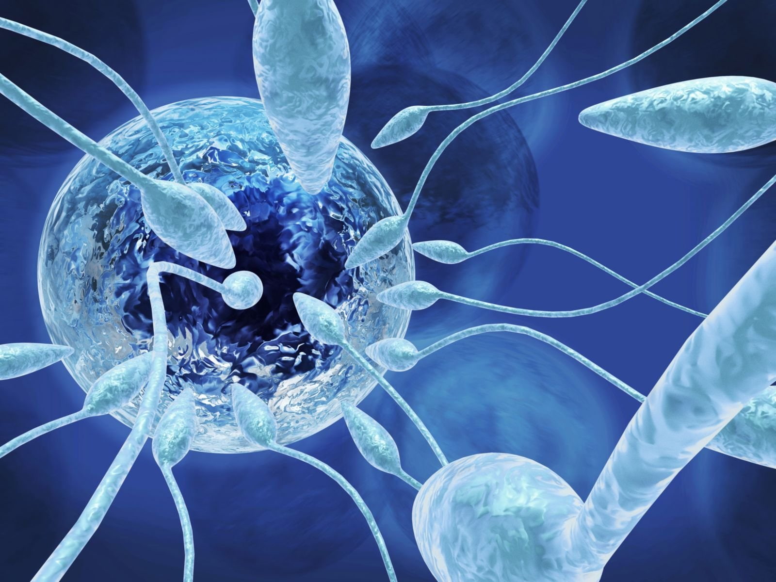 healthcare and medicine, three dimensional, technology, bokeh, indoors, Male, Cell, jellyfish, 720P, animal wildlife, group of animals, biology, eggs, HD Wallpaper