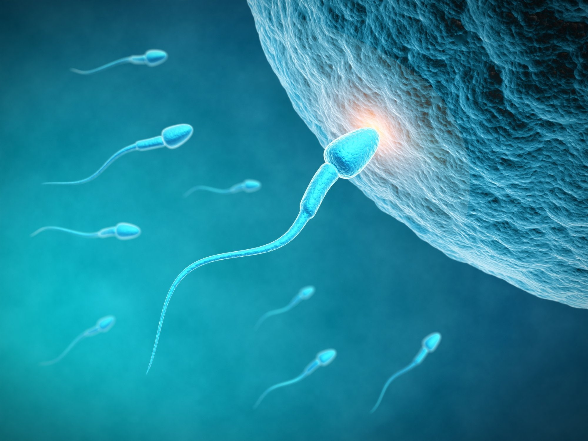 psychedelic, dna, eggs, male, men, abstraction, medical, swimming, 1080P, bokeh, life, cell, man, egg, abstract, swim, vector, HD Wallpaper