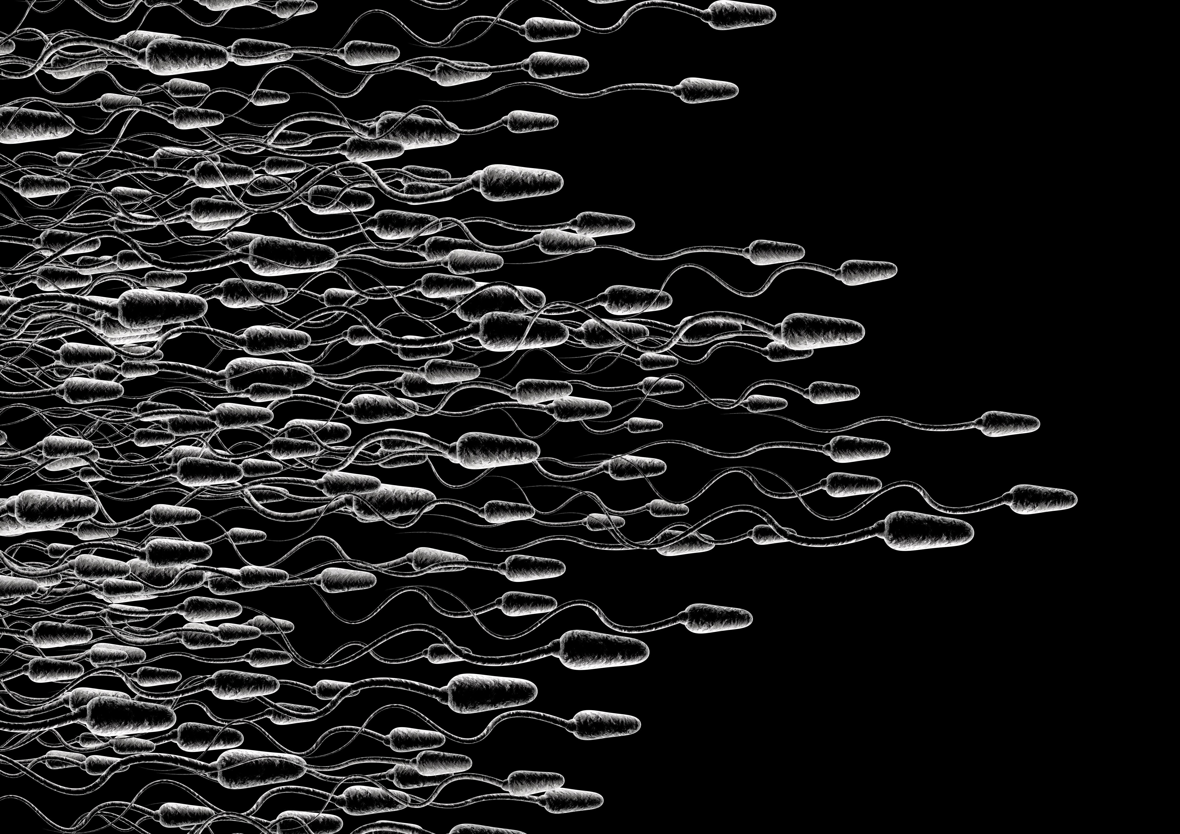 man, abstraction, 4K, swim, medical, abstract, psychedelic, eggs, male, men, bokeh, dna, egg, life, swimming, vector, cell, HD Wallpaper