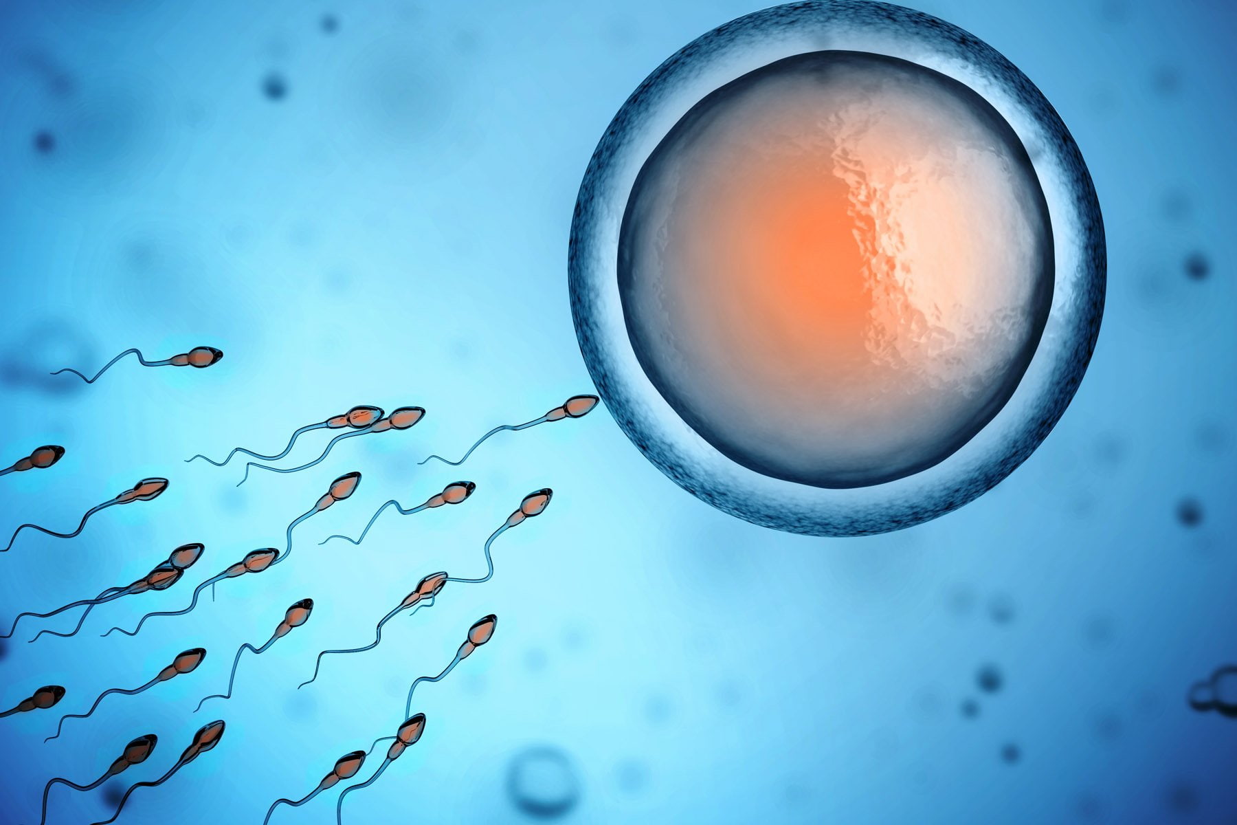 life, abstract, cell, swim, abstraction, bokeh, male, psychedelic, swimming, dna, vector, eggs, man, medical, men, 720P, egg, HD Wallpaper