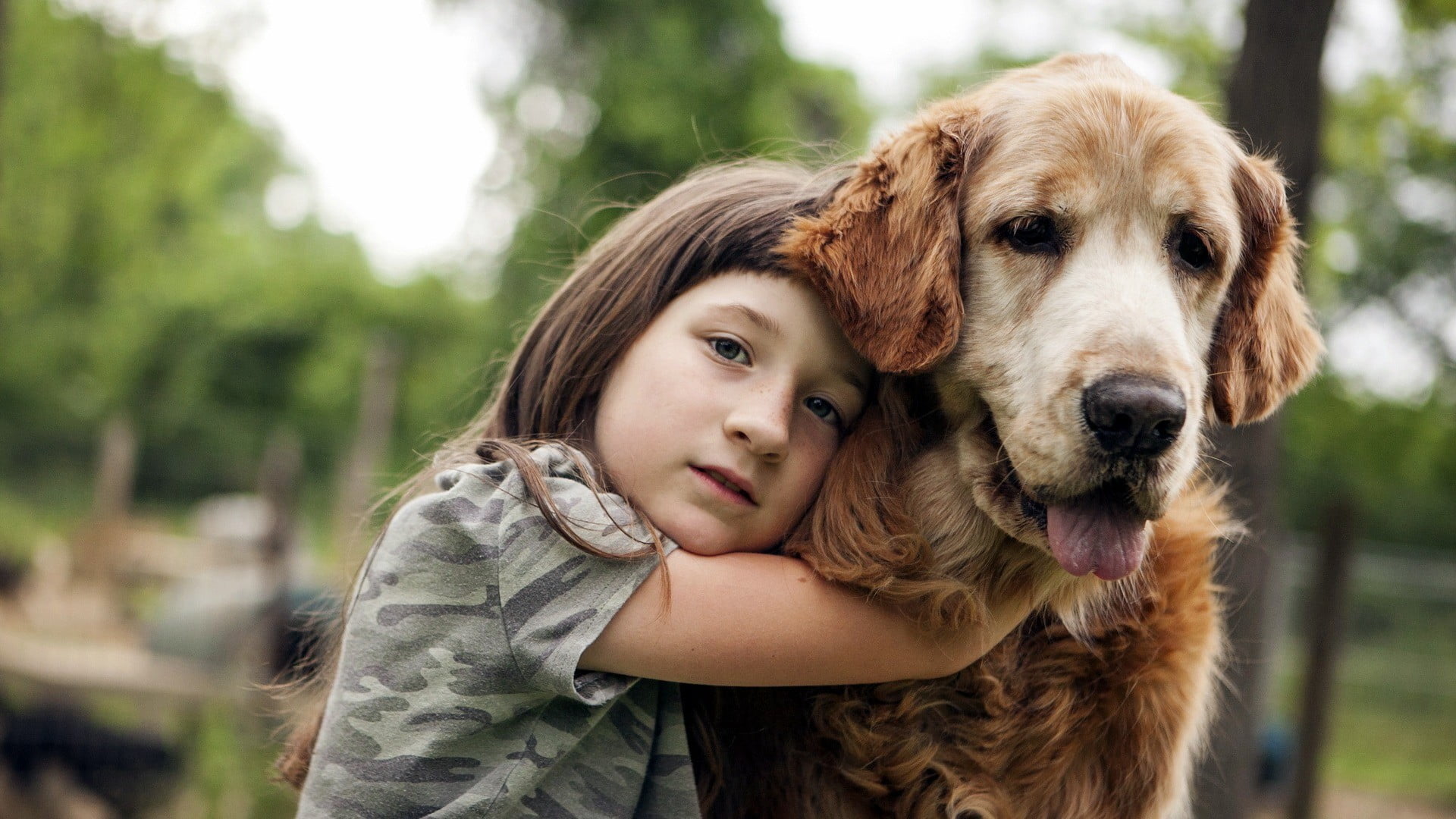 headshot, domestic animals, domestic, pets, embracing, dog, hair, girls, 1080P, hugging, women, child, gray, offspring, s, innocence, children, positive emotion, HD Wallpaper