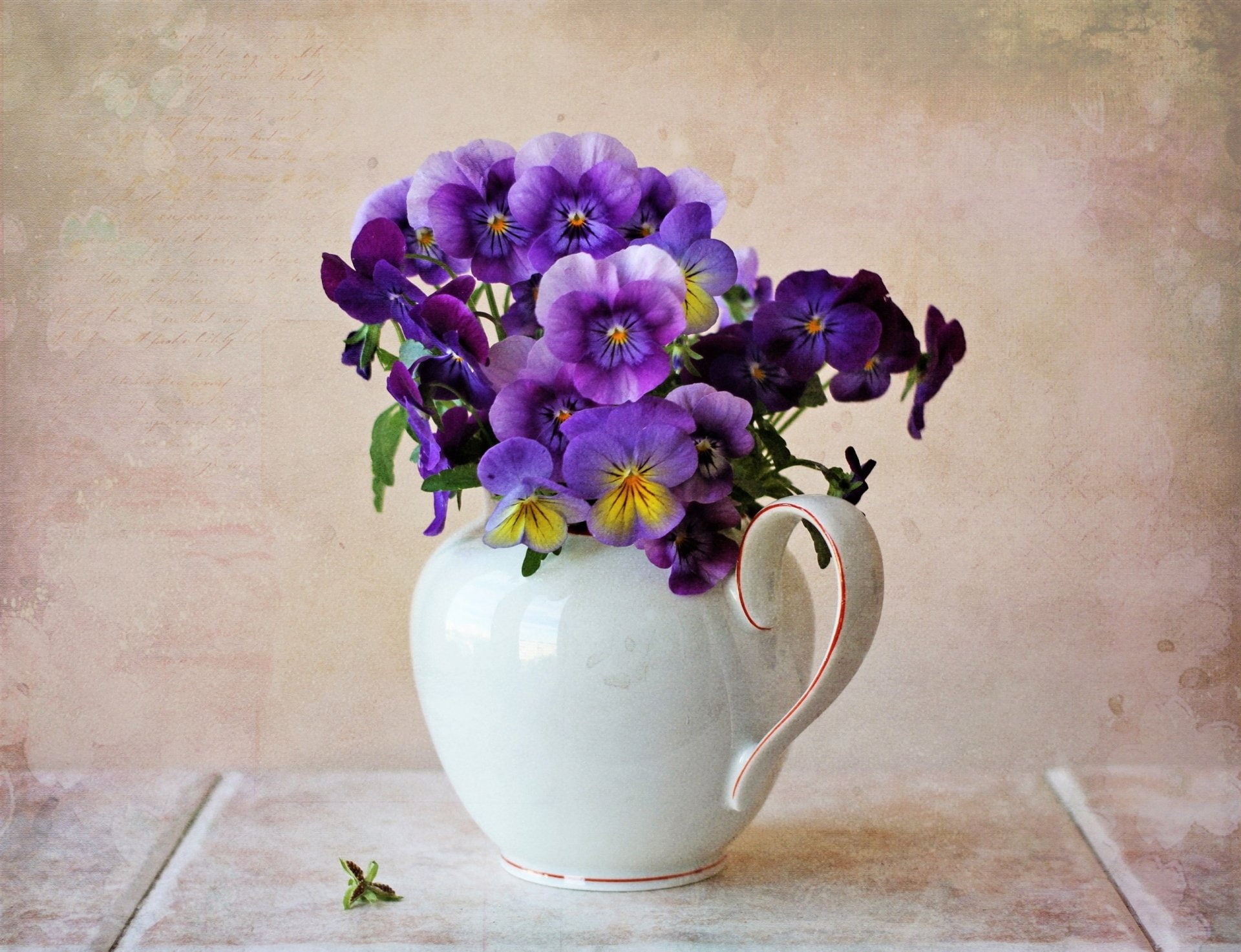Purple Flower, Pansy, Pitcher, Flower, 1080P, Still Life, Photography, HD Wallpaper